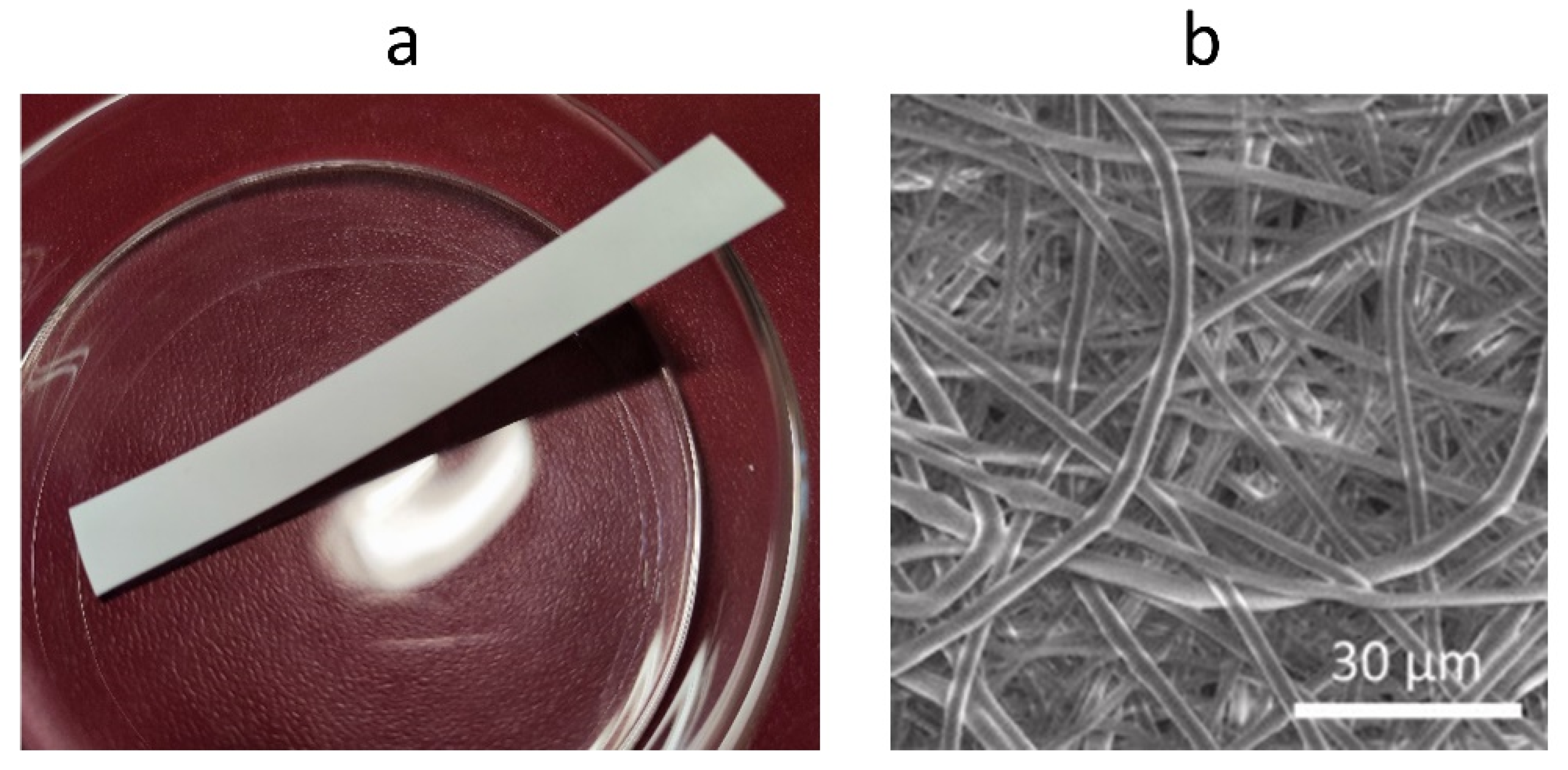 Polymers 14 05549 g005