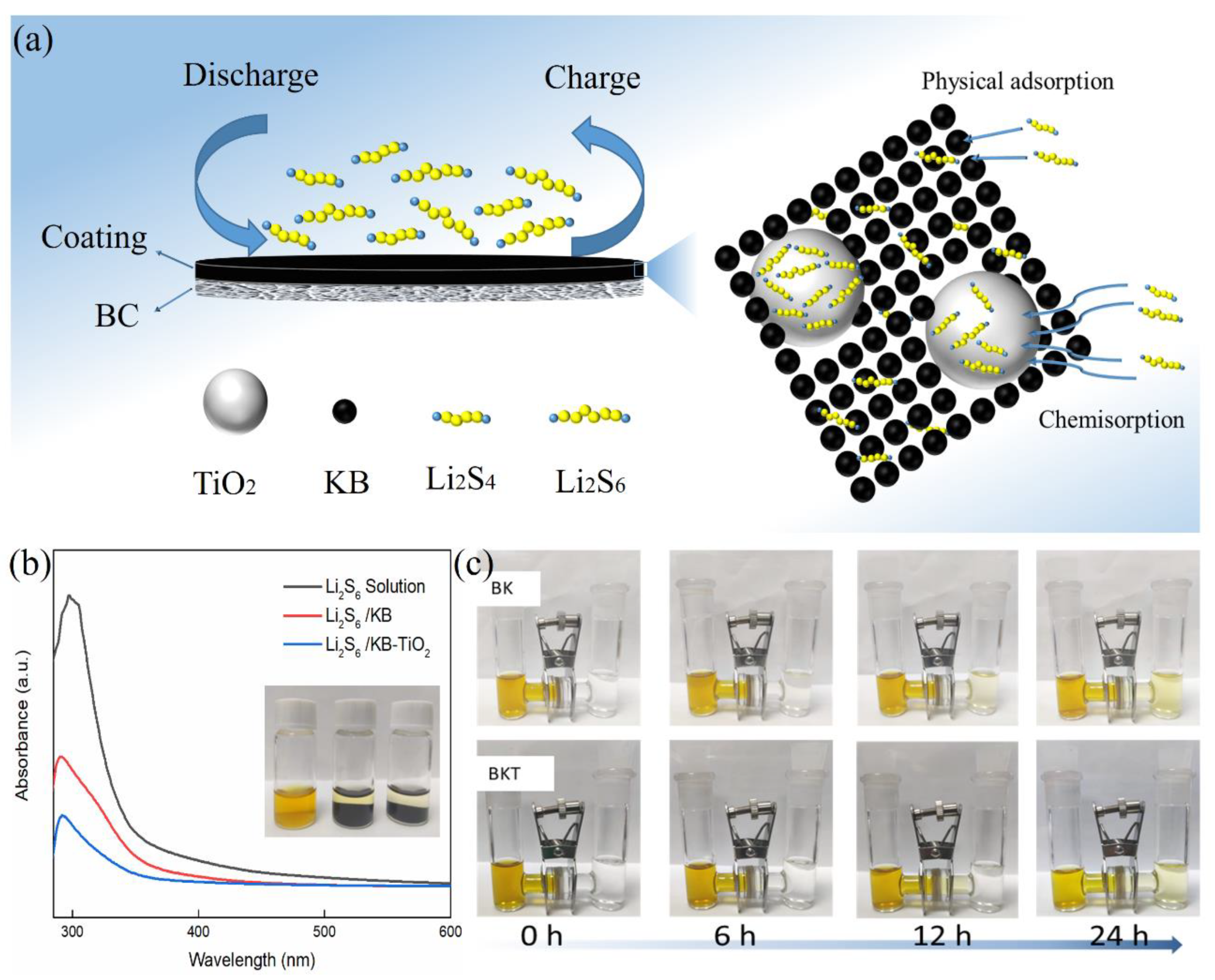Polymers 14 05559 g002 Polymers 14 05559 g002