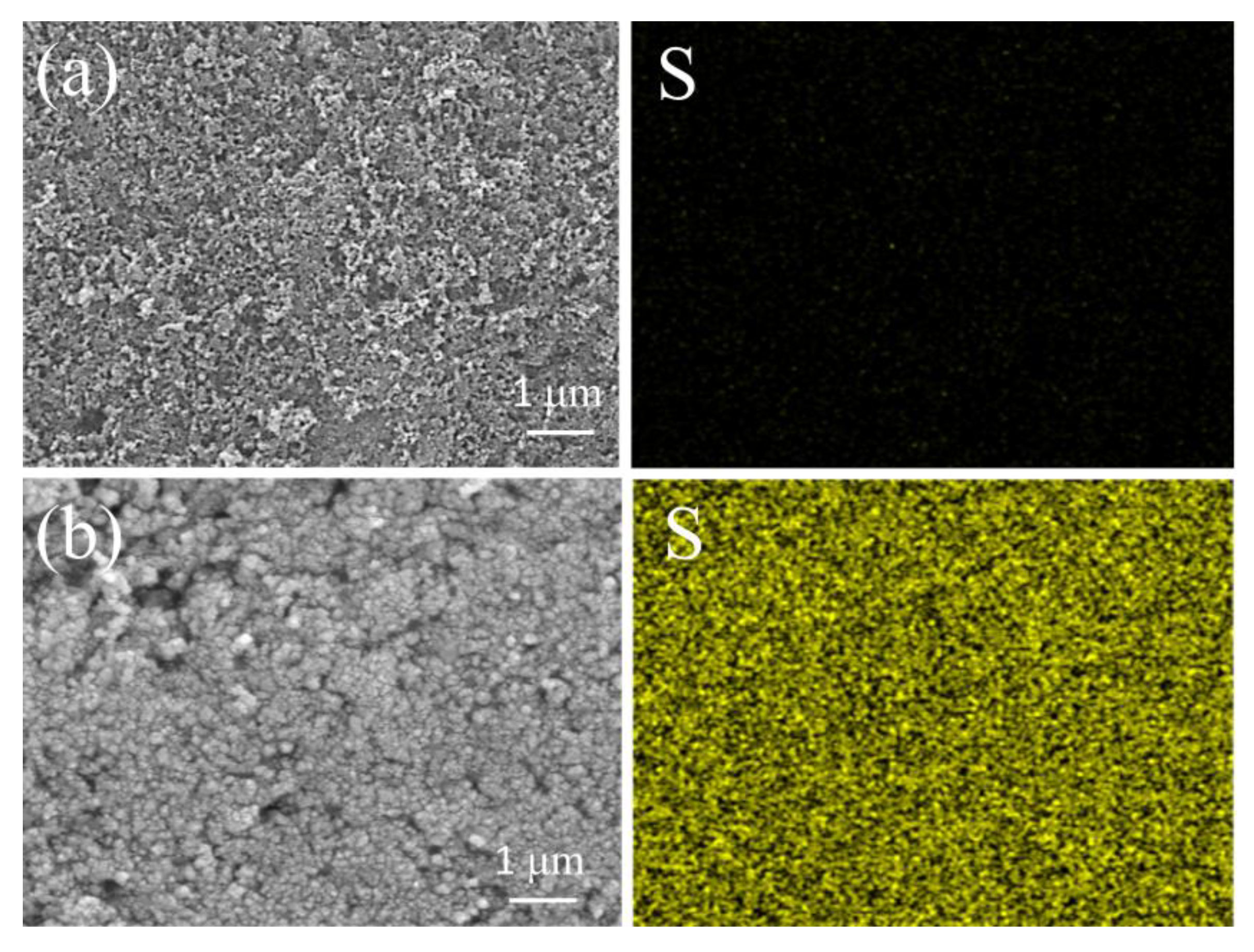 Polymers 14 05559 g005 Polymers 14 05559 g005