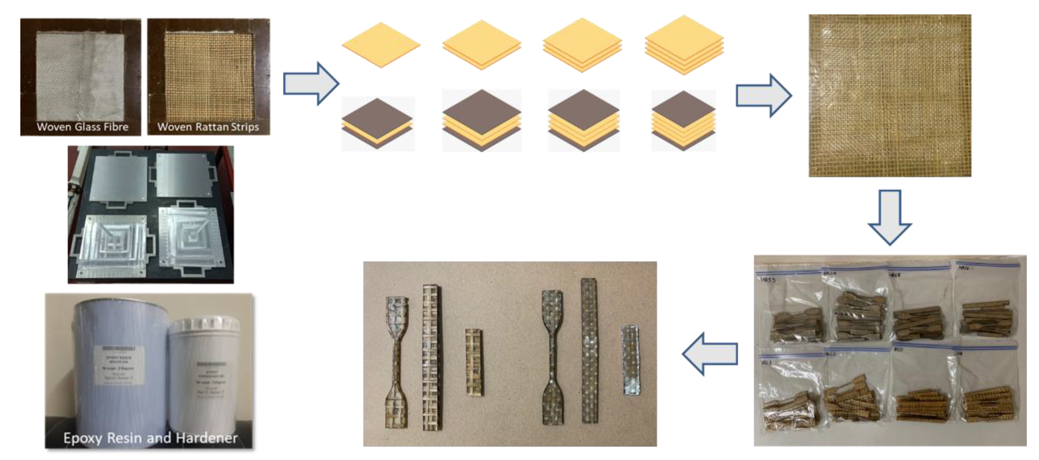 Polymers 14 05562 g002