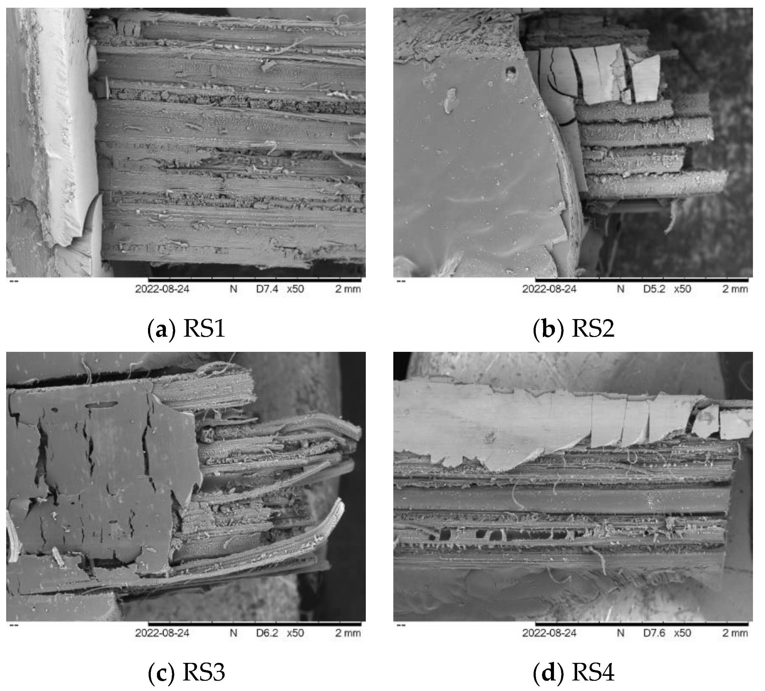 Polymers 14 05562 g004