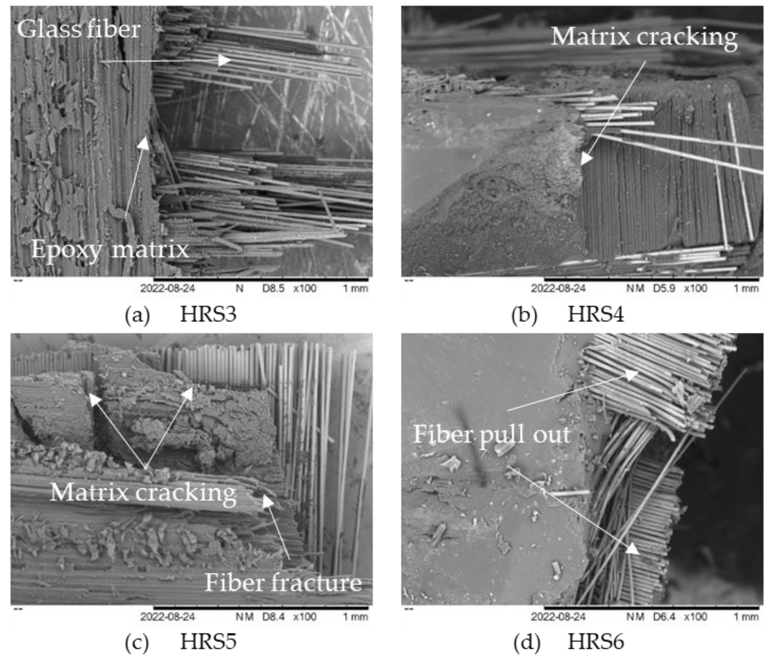 Polymers 14 05562 g006