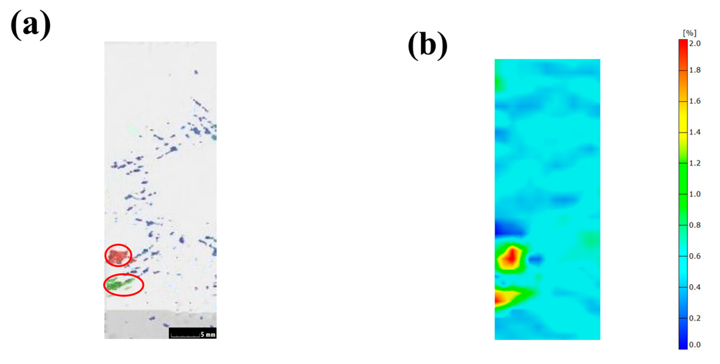 Polymers 14 05564 g008