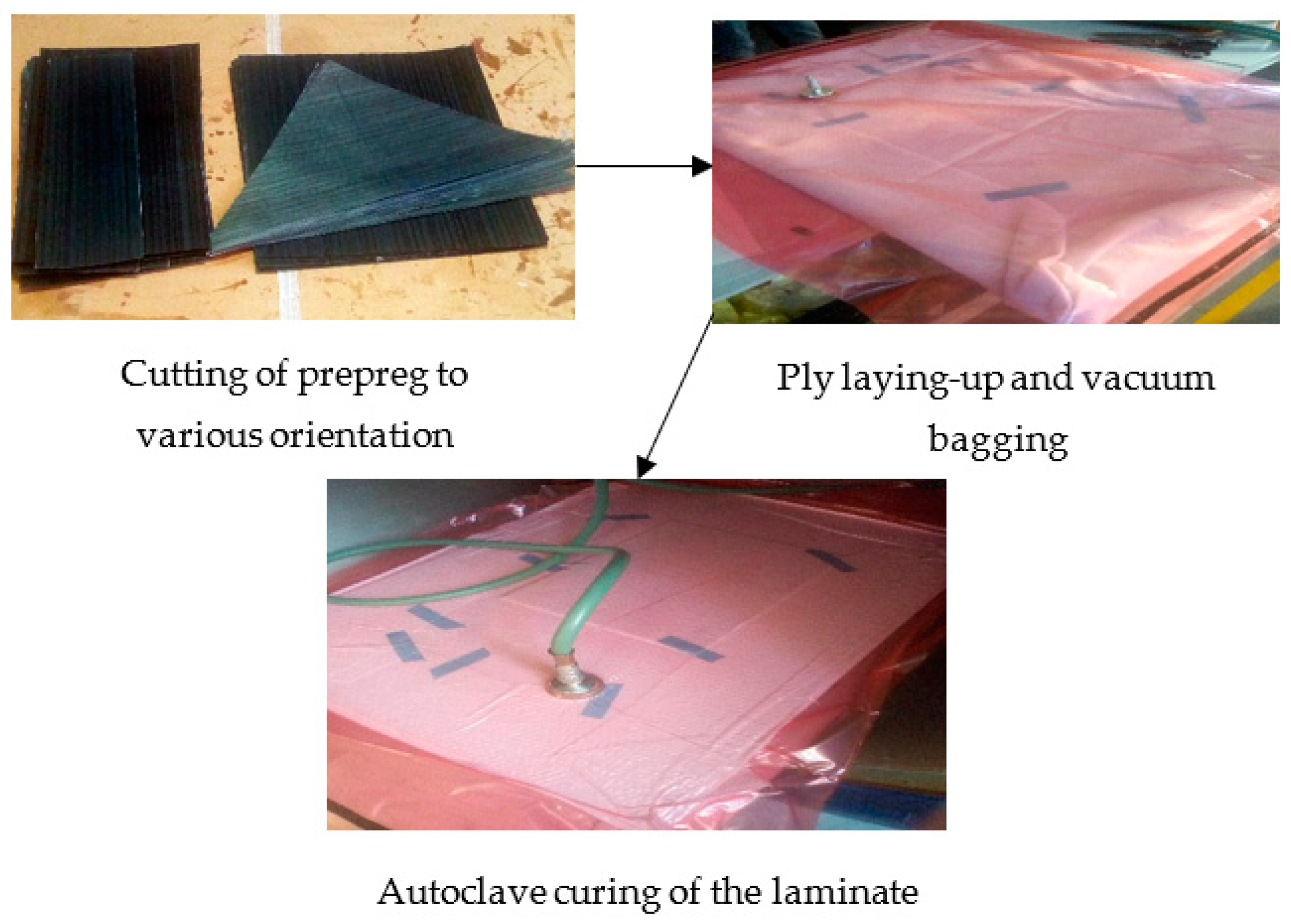 Polymers 14 05566 g001