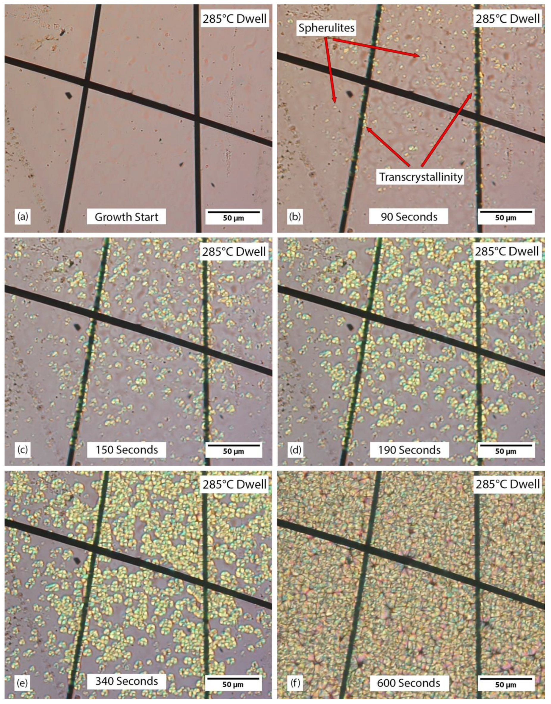 Polymers 15 00018 g004