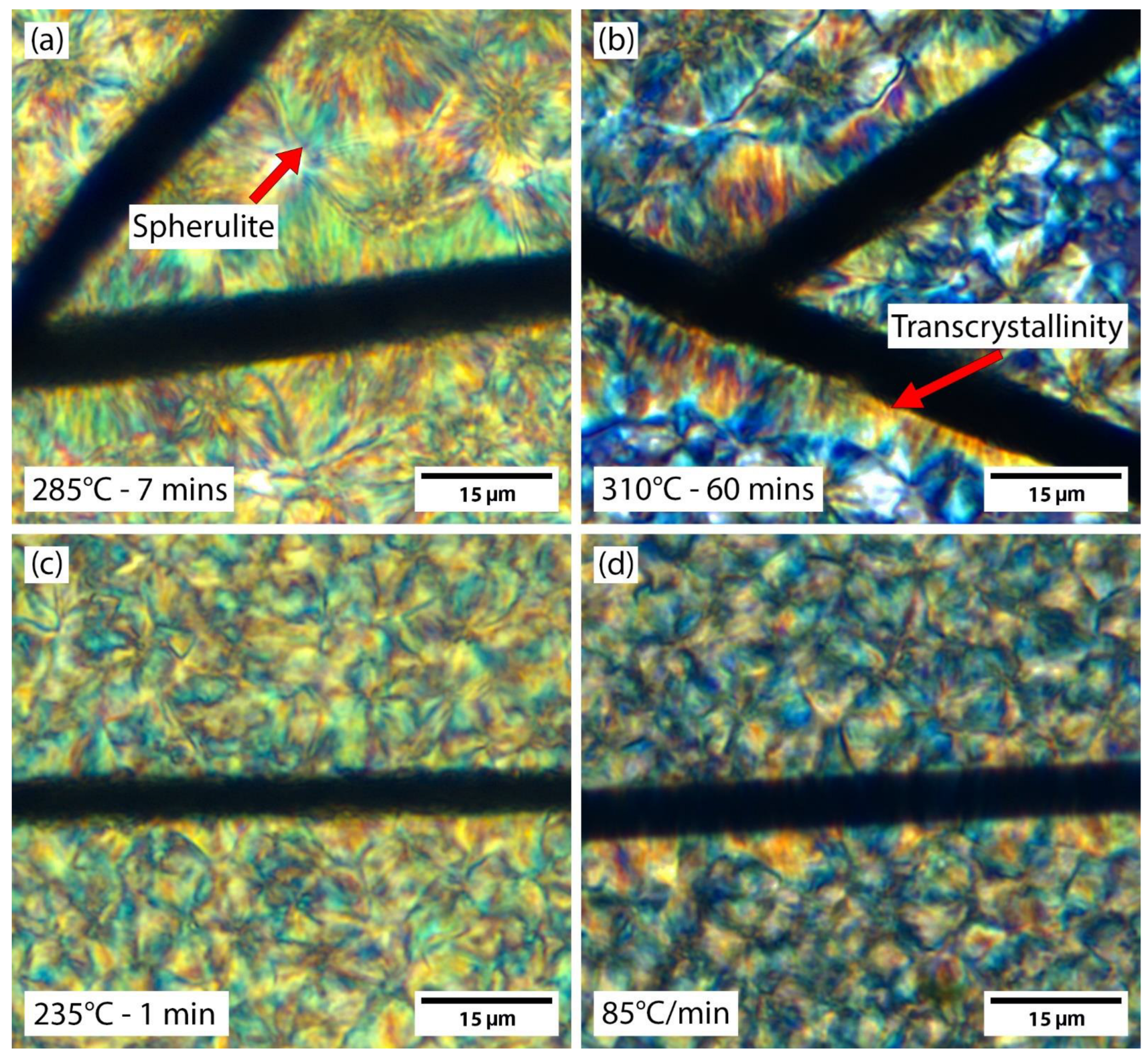 Polymers 15 00018 g005