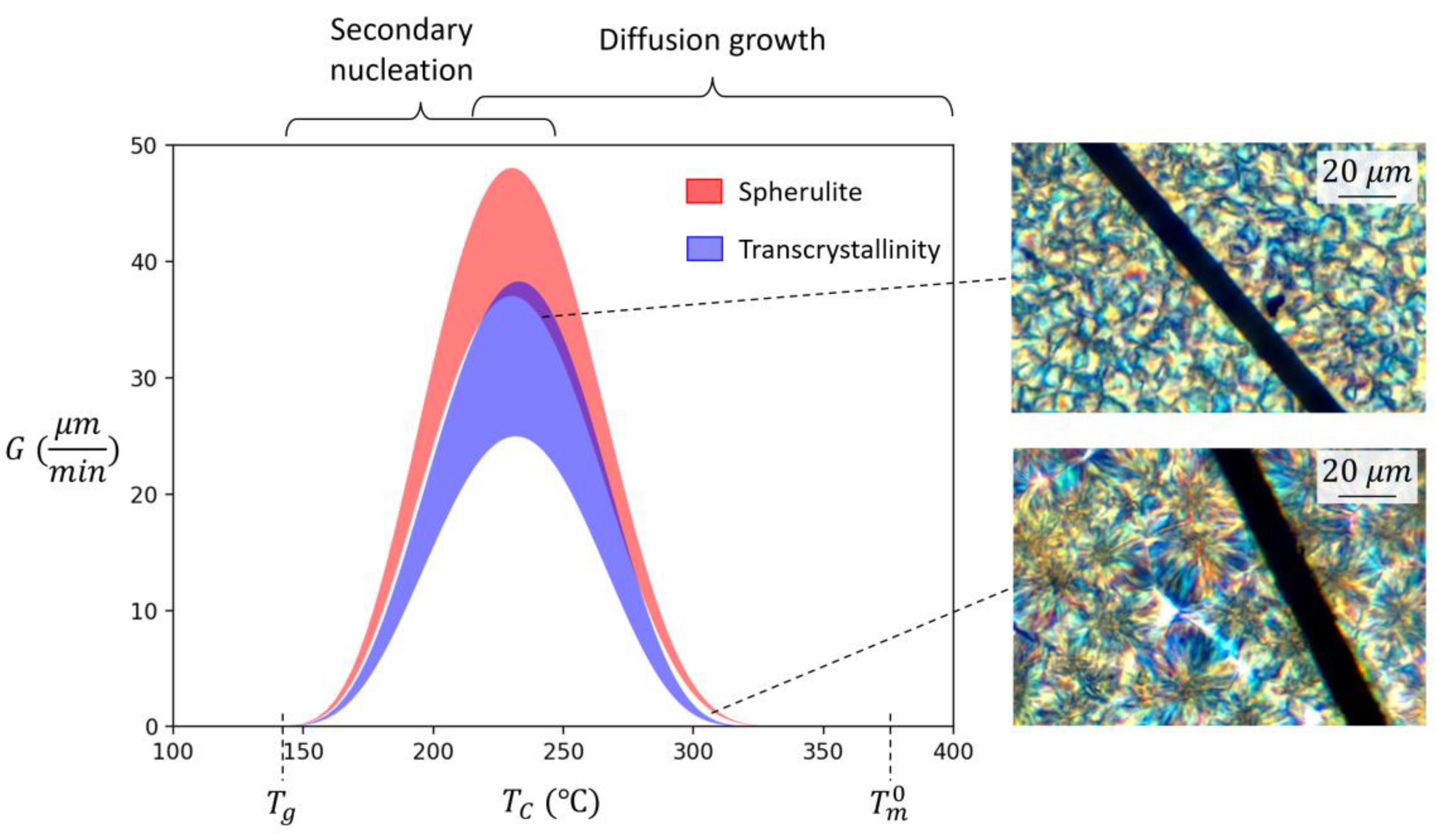 Polymers 15 00018 g008