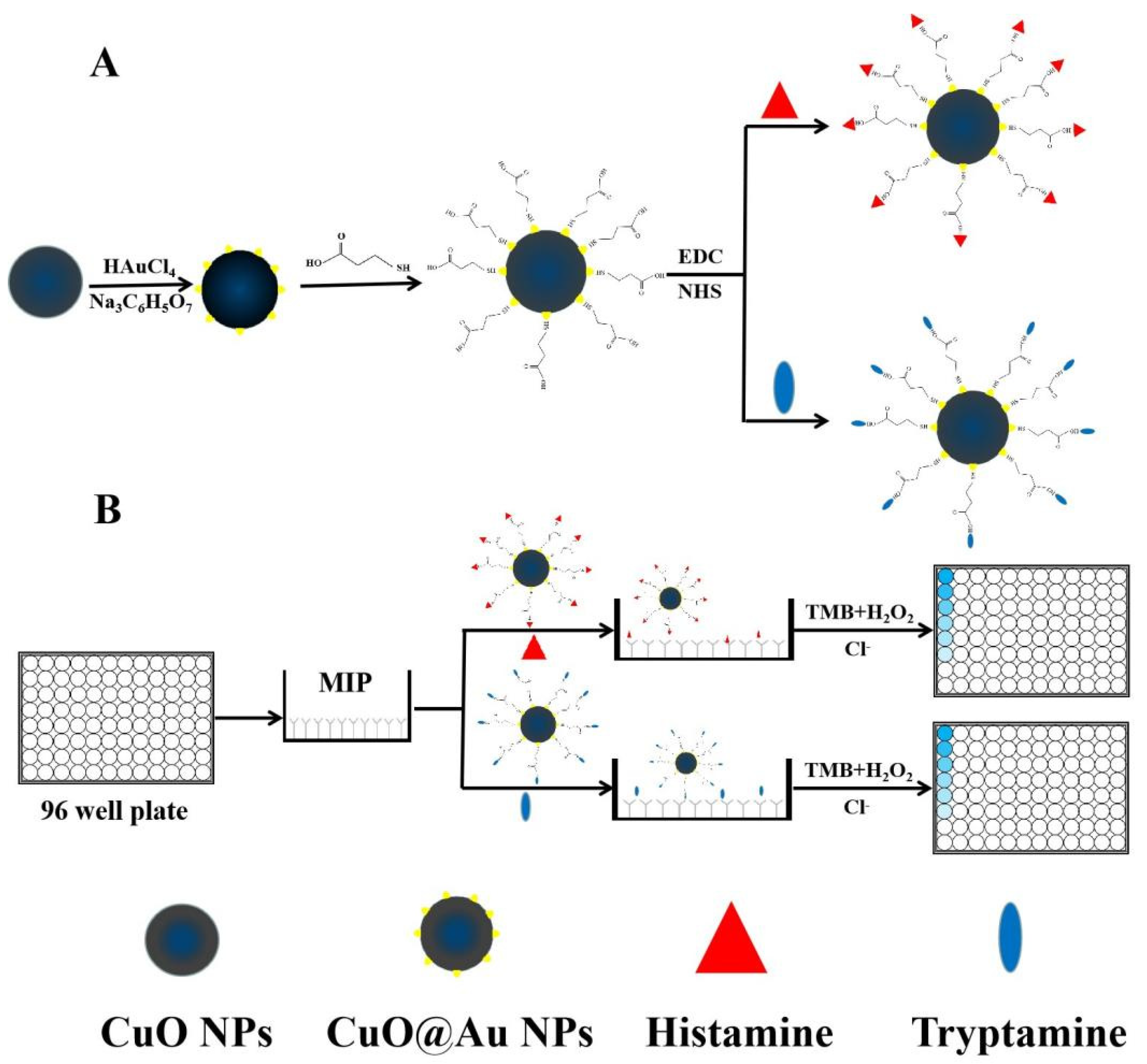 Polymers 15 00021 sch001