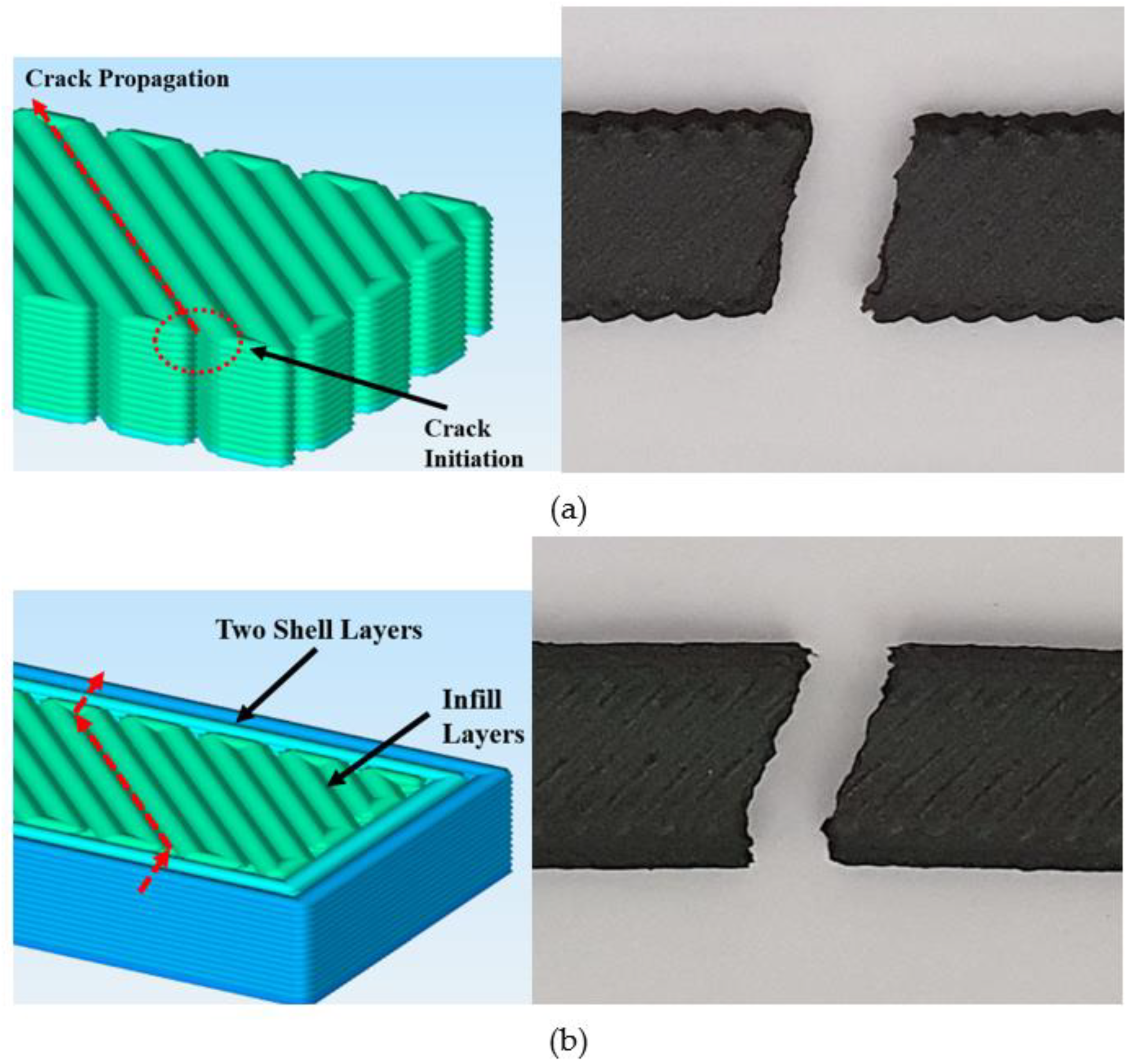 Polymers 15 00038 g005