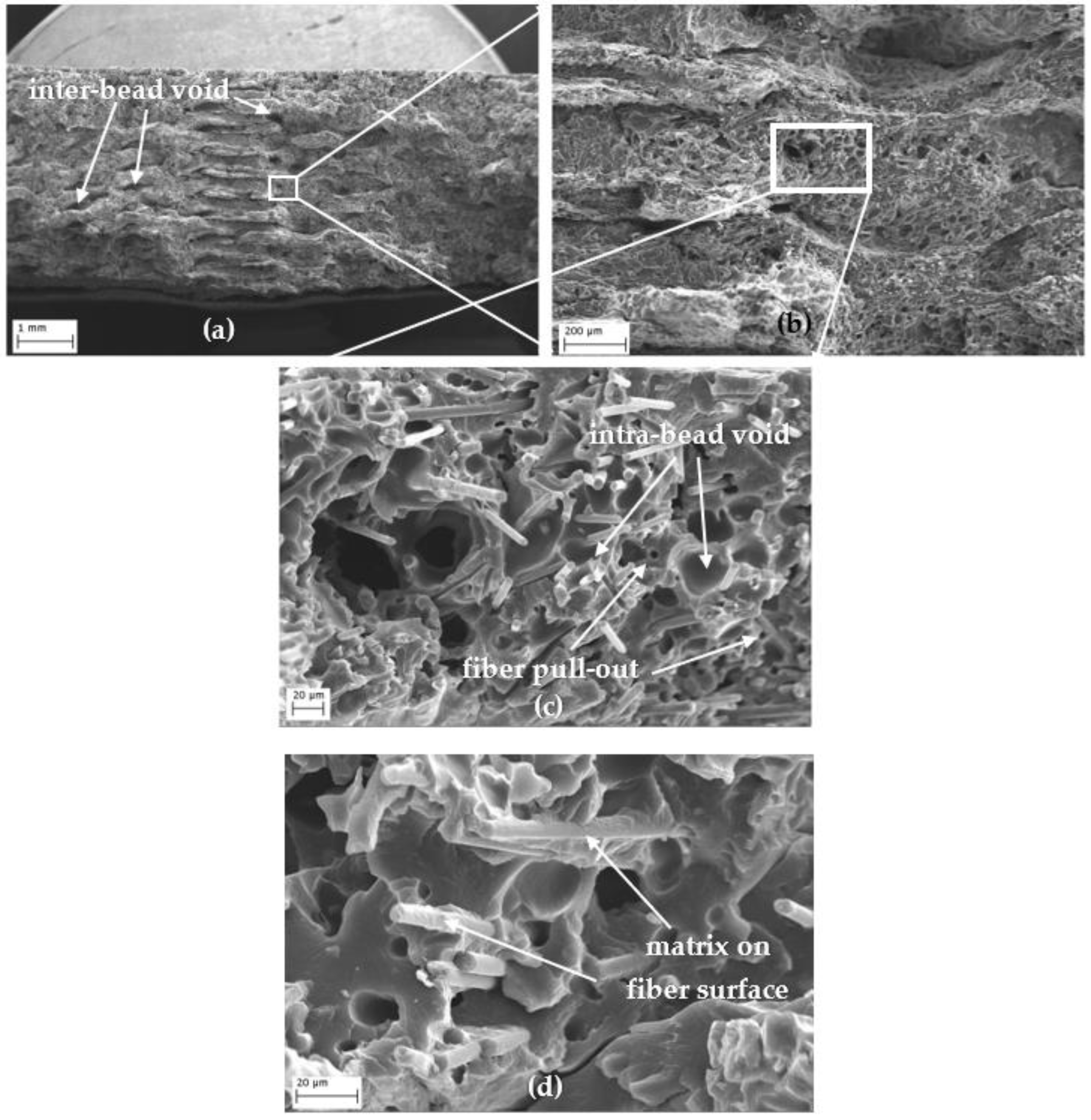 Polymers 15 00038 g011