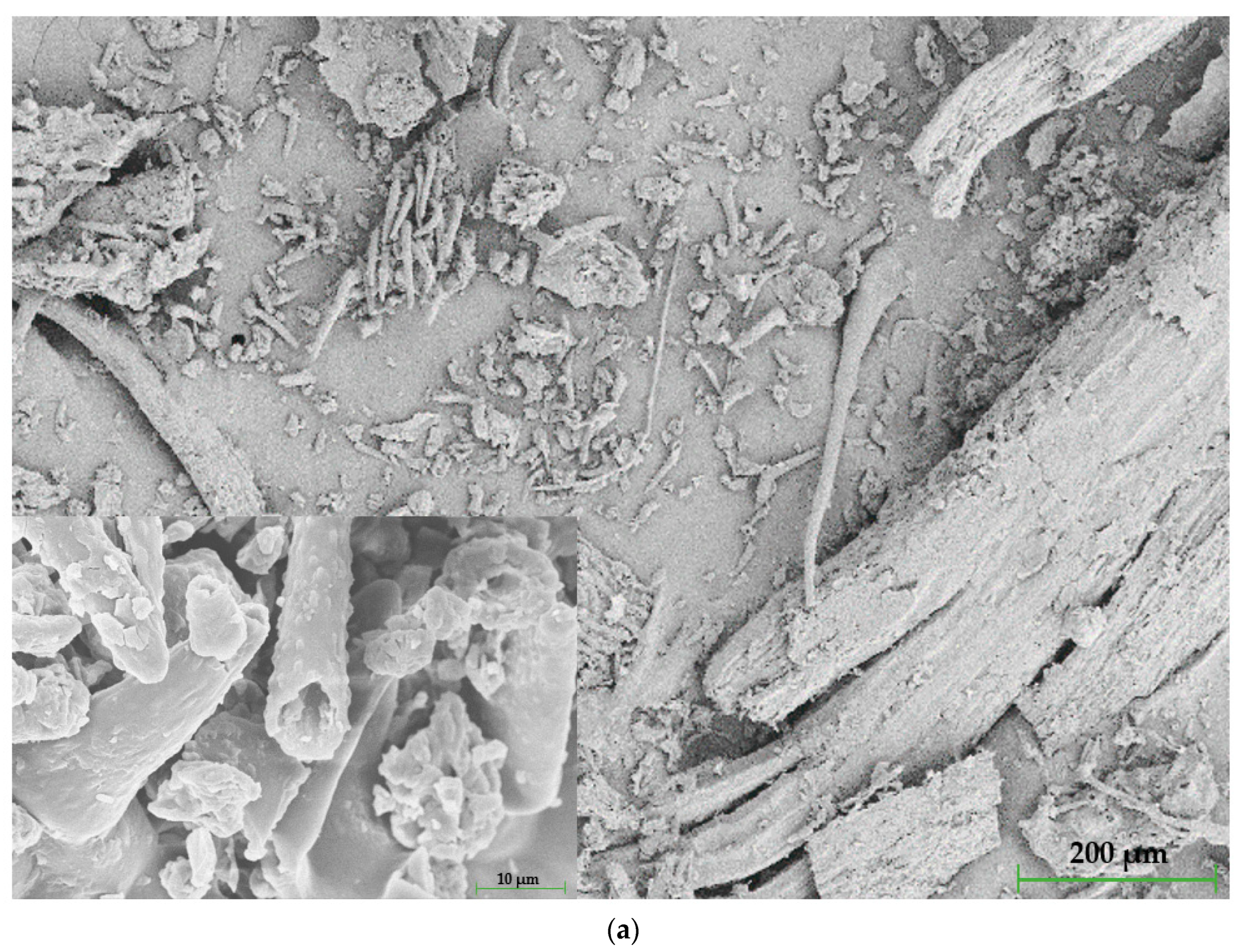 Polymers 15 00042 g005a Polymers 15 00042 g005a