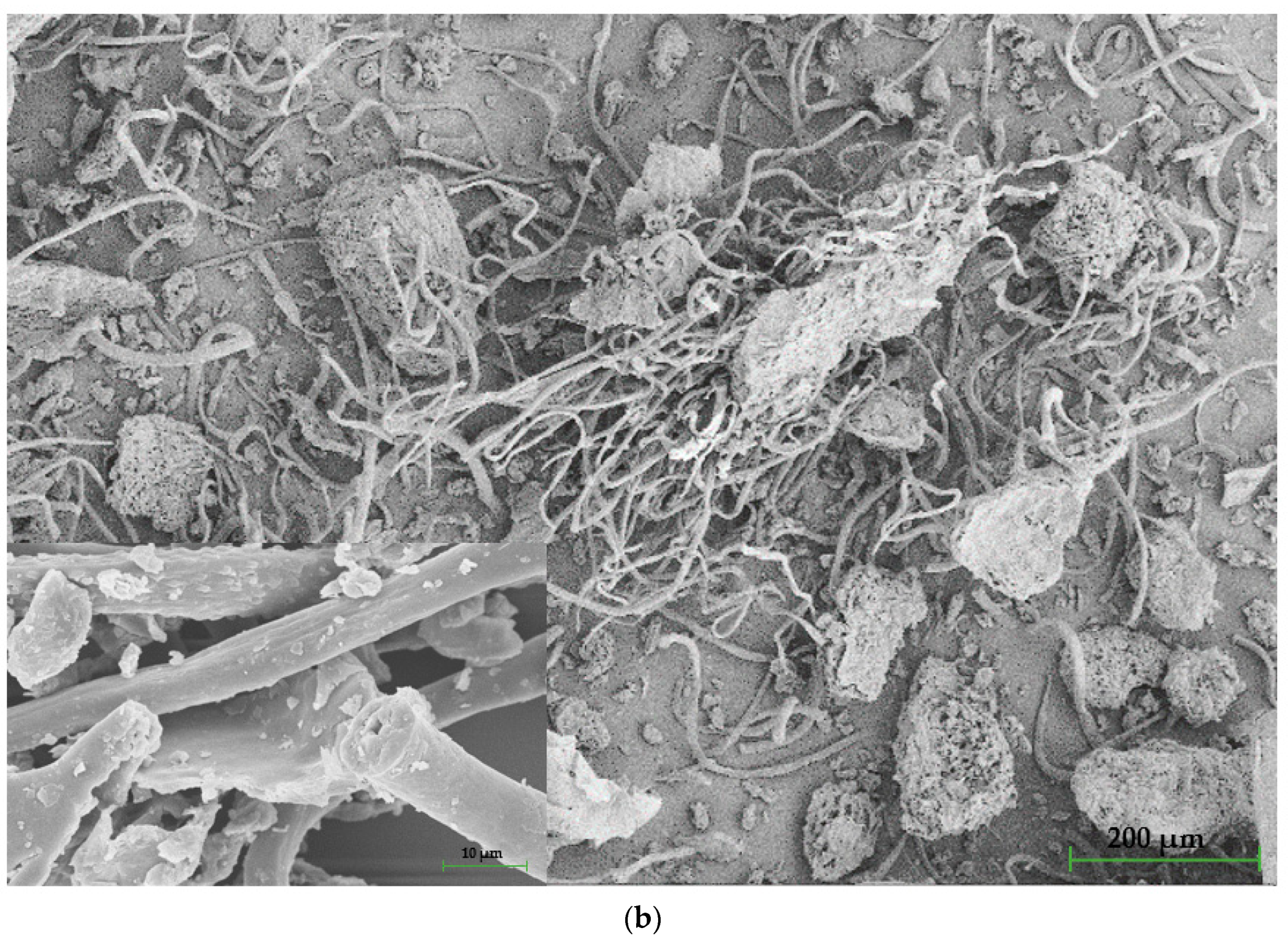 Polymers 15 00042 g005b Polymers 15 00042 g005b