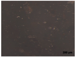 Polymers 15 00042 i006 Polymers 15 00042 i006