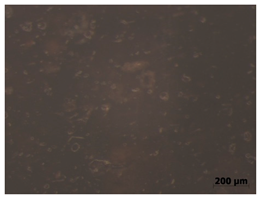 Polymers 15 00042 i009 Polymers 15 00042 i009