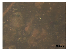 Polymers 15 00042 i010 Polymers 15 00042 i010