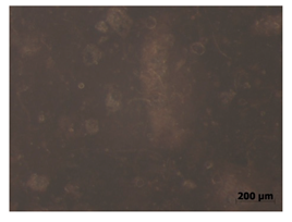 Polymers 15 00042 i018 Polymers 15 00042 i018