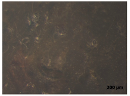 Polymers 15 00042 i019 Polymers 15 00042 i019