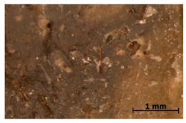 Polymers 15 00042 i023 Polymers 15 00042 i023