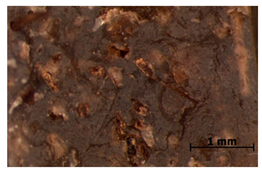 Polymers 15 00042 i024 Polymers 15 00042 i024