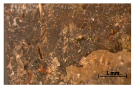 Polymers 15 00042 i026 Polymers 15 00042 i026