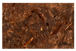 Polymers 15 00042 i030 Polymers 15 00042 i030