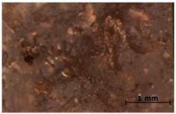 Polymers 15 00042 i033 Polymers 15 00042 i033