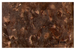 Polymers 15 00042 i036 Polymers 15 00042 i036