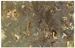 Polymers 15 00042 i038 Polymers 15 00042 i038