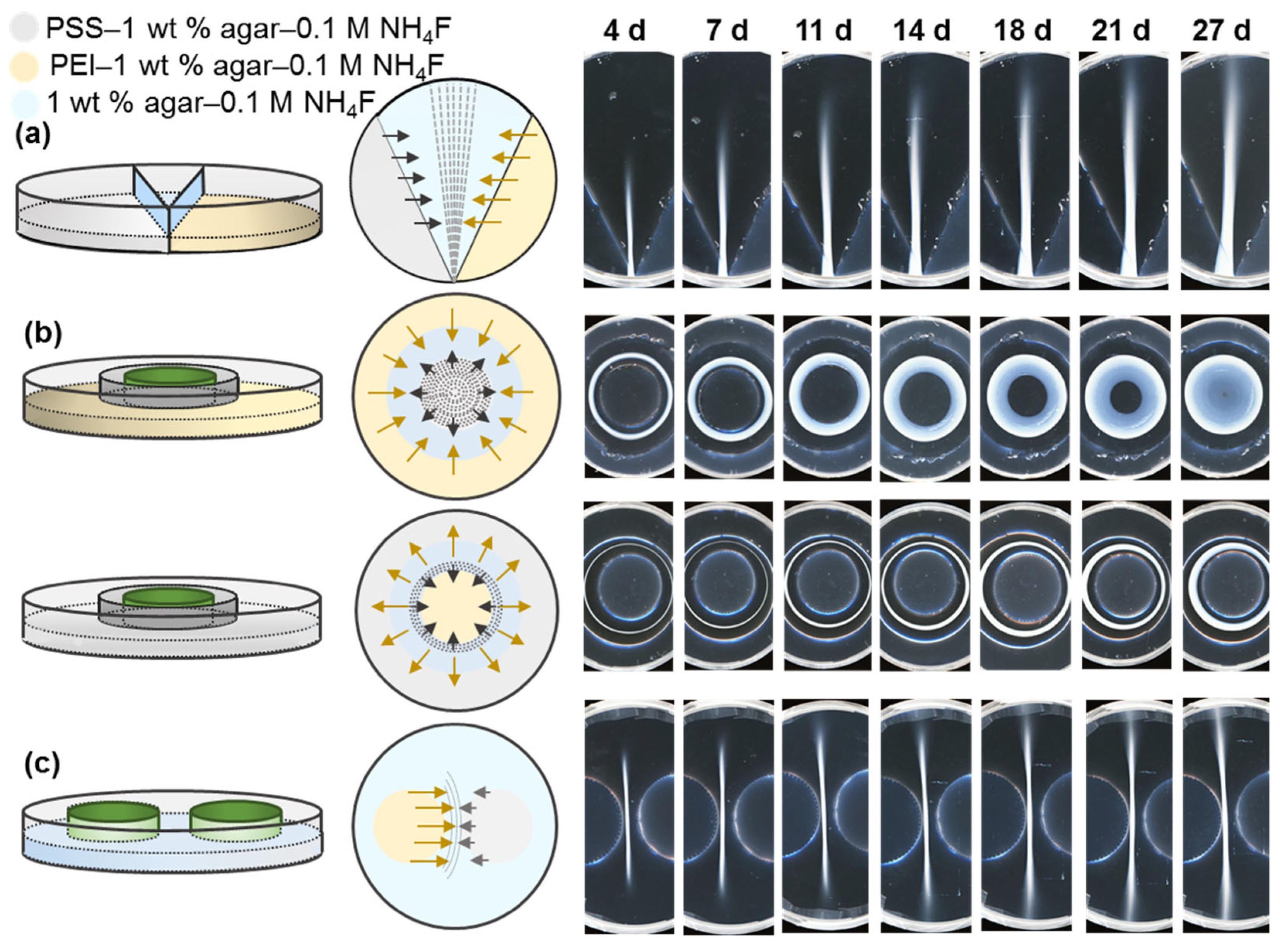 Polymers 15 00045 g002
