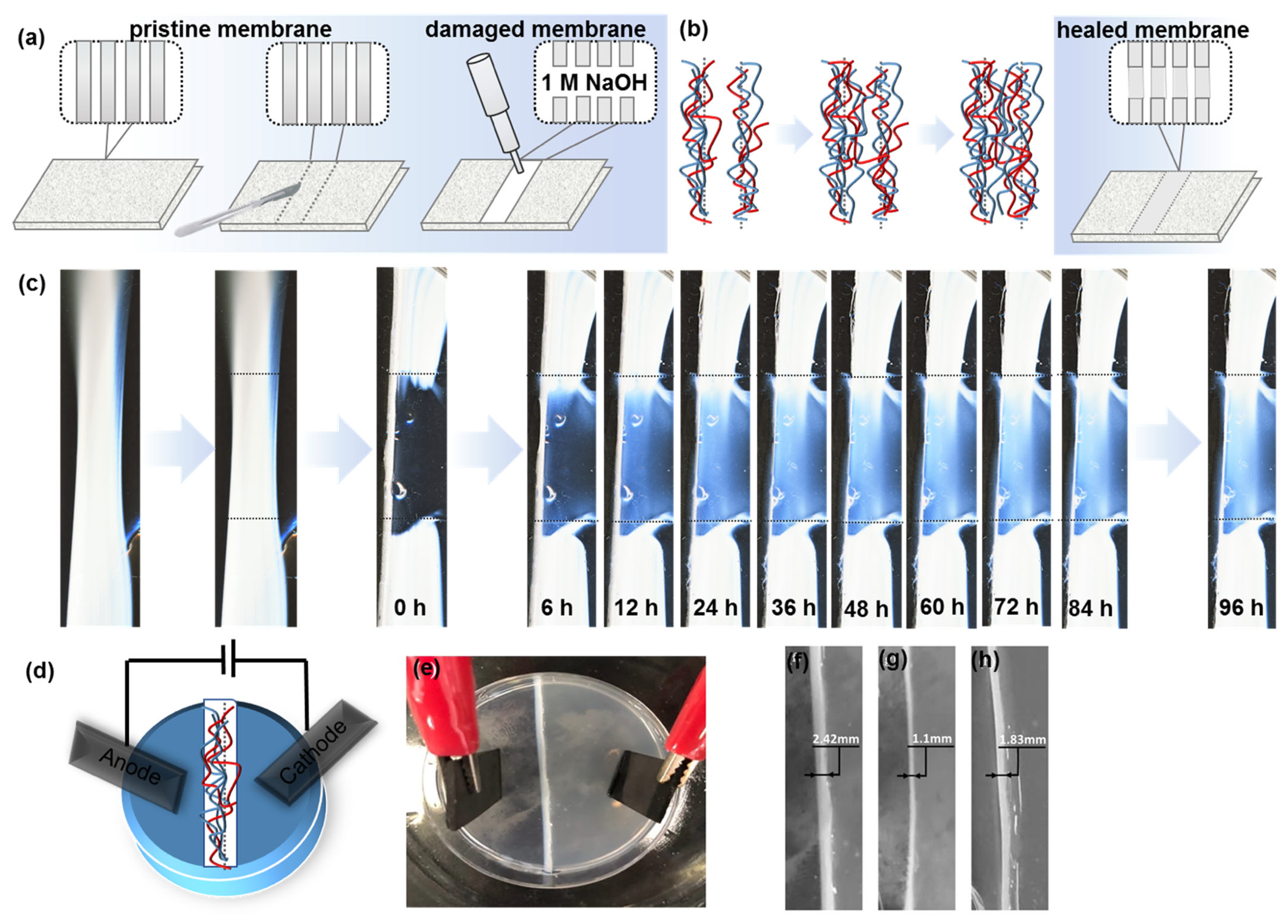 Polymers 15 00045 g004