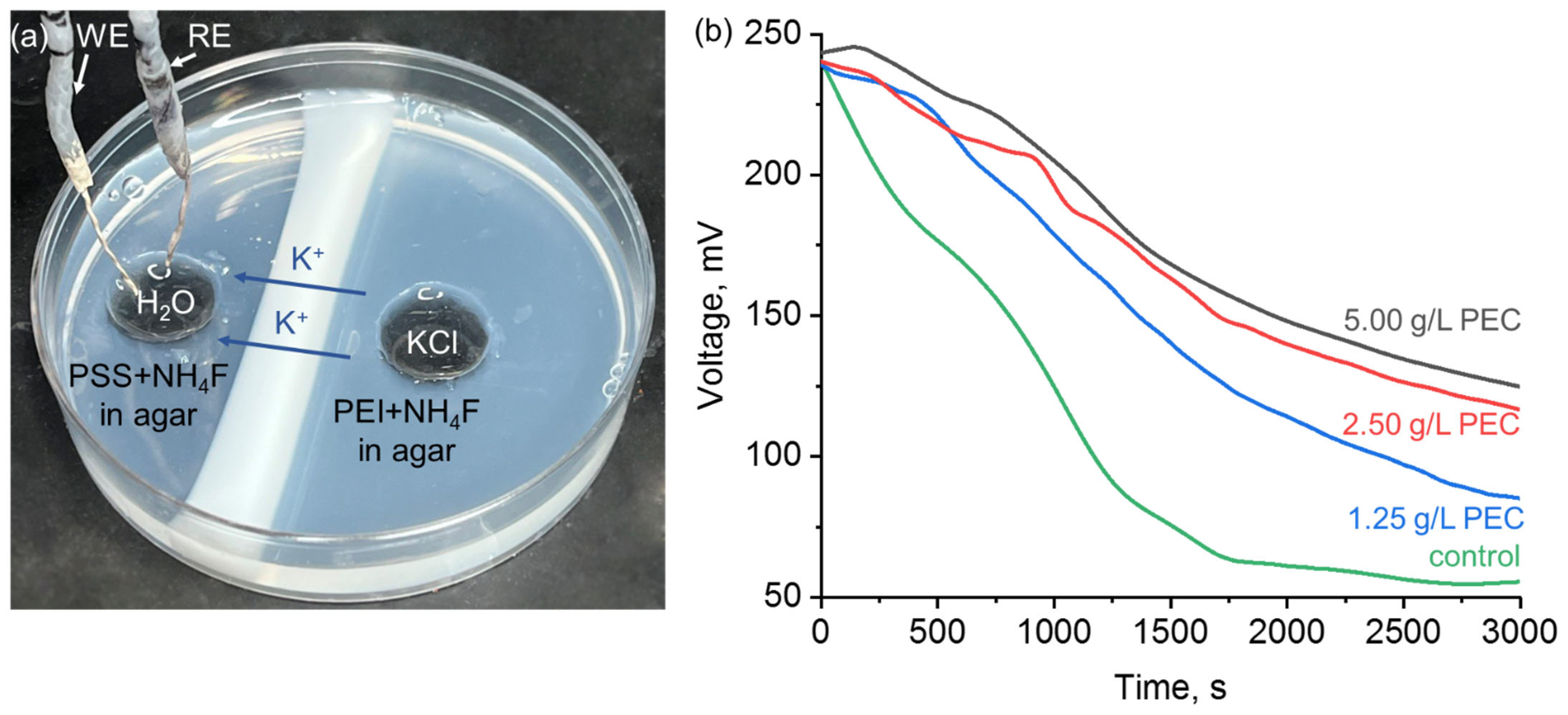Polymers 15 00045 g005