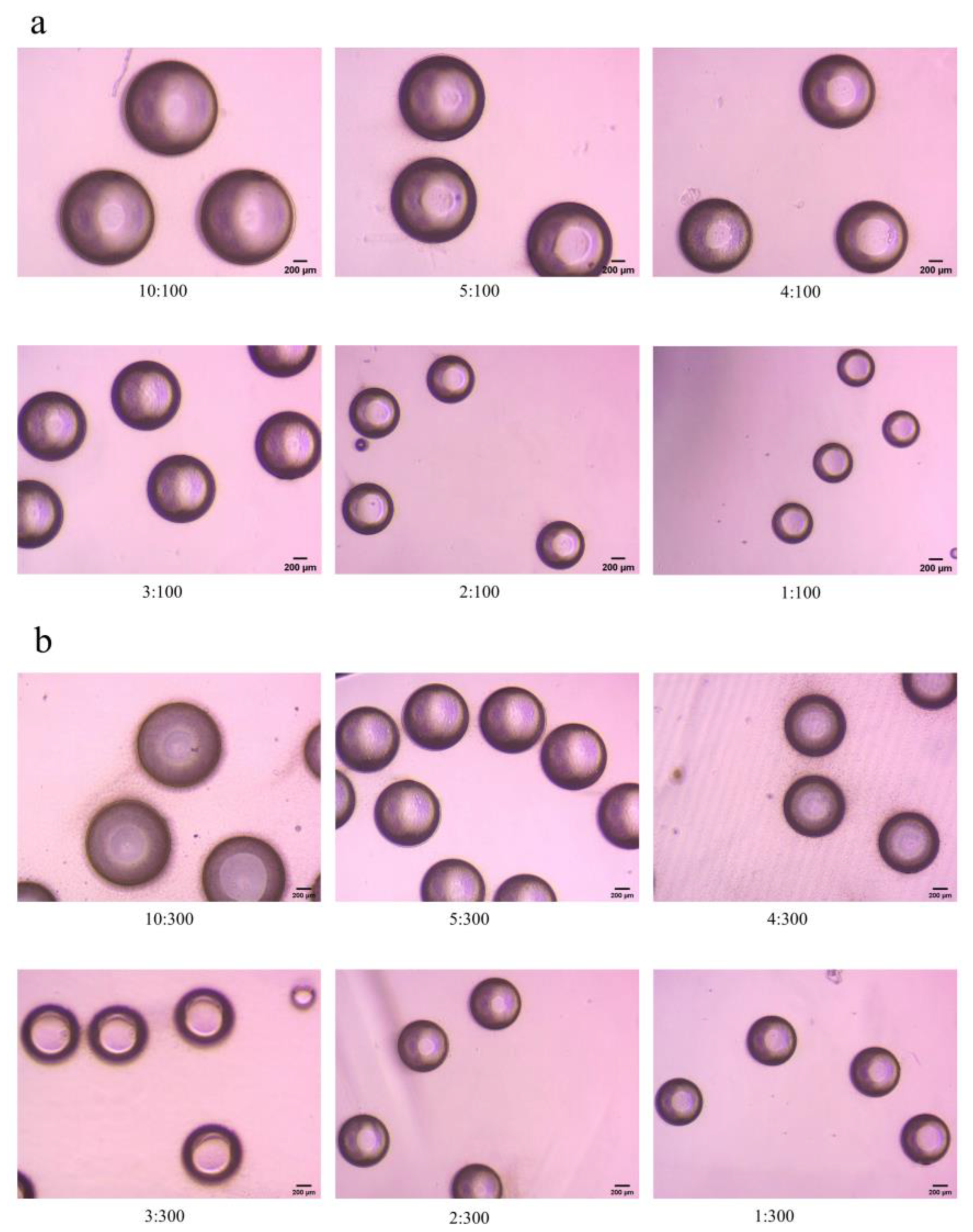 Polymers 15 00053 g002 Polymers 15 00053 g002