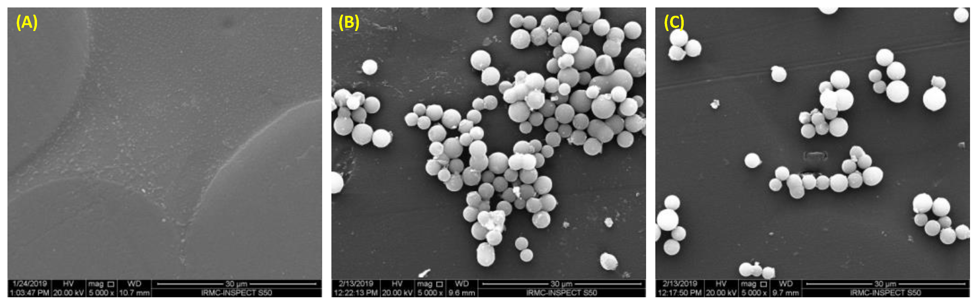 Polymers 15 00054 g002 Polymers 15 00054 g002