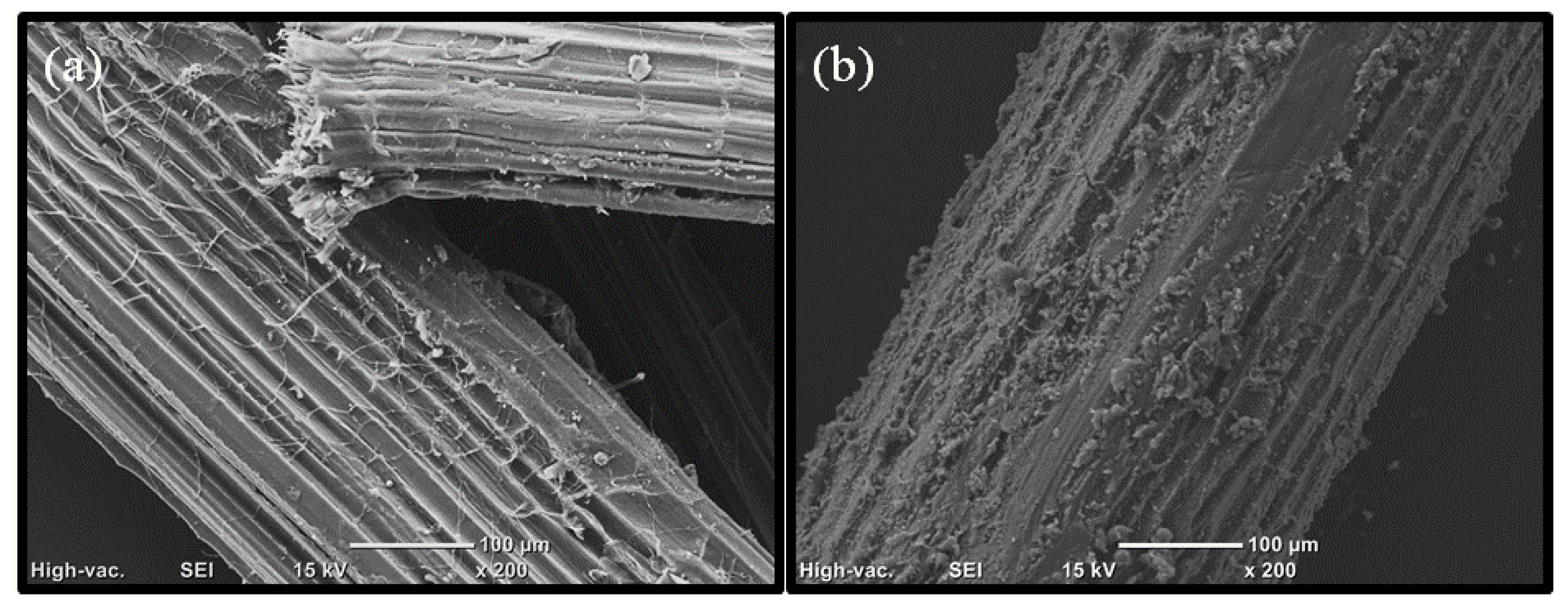 Polymers 15 00060 g004 Polymers 15 00060 g004