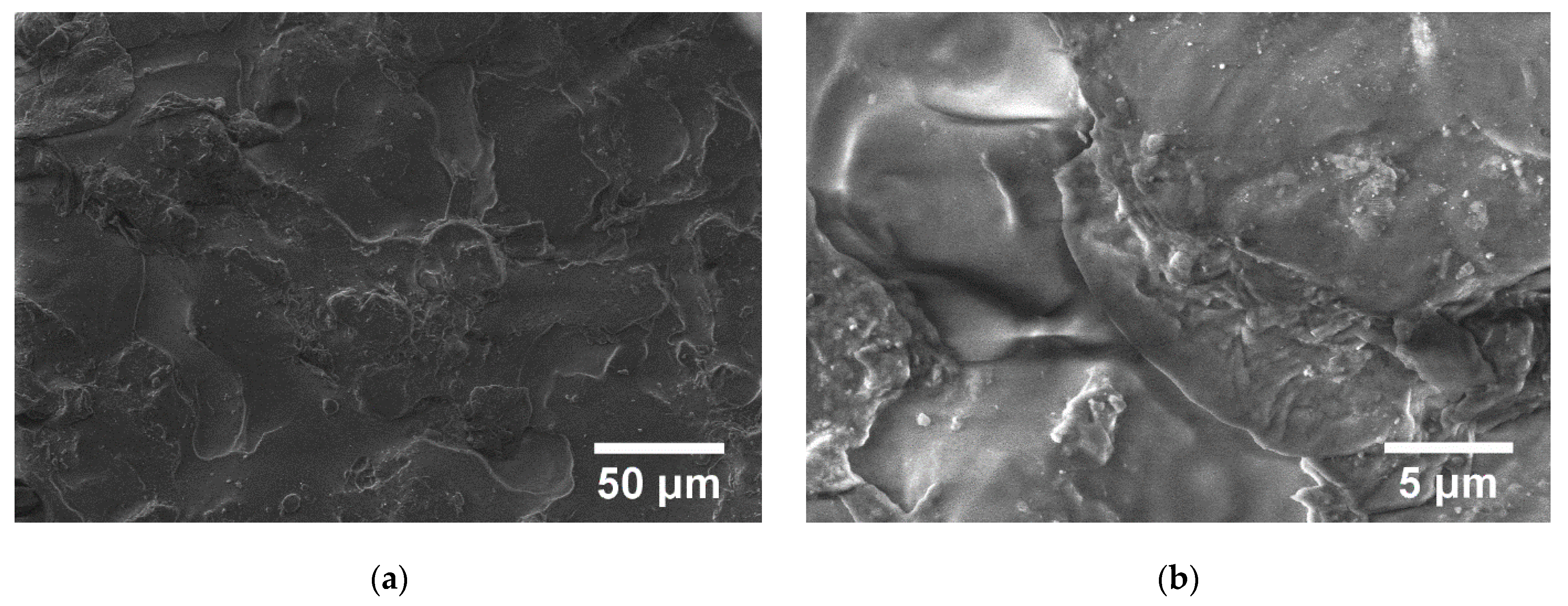 Polymers 15 00073 g013 Polymers 15 00073 g013