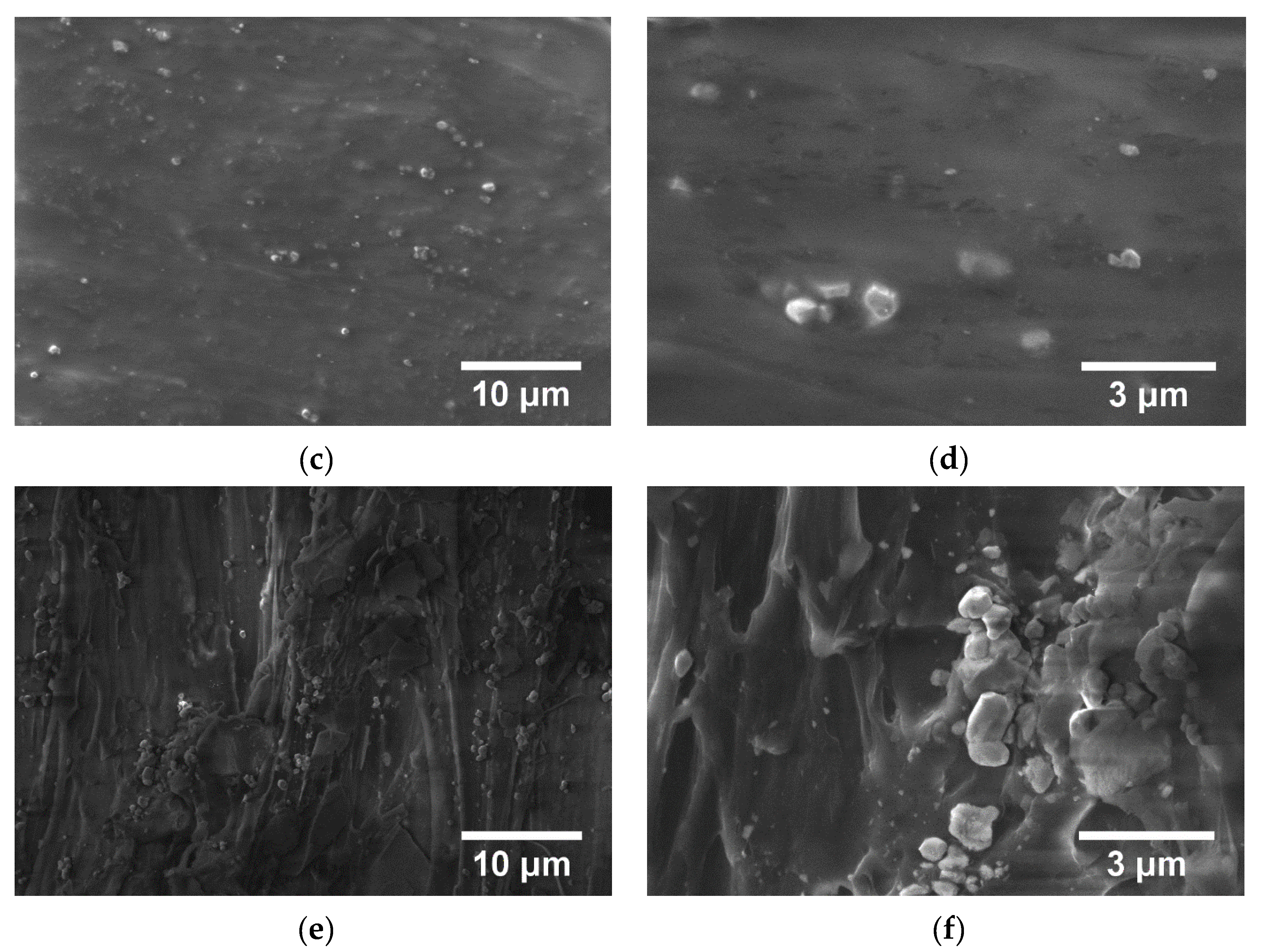 Polymers 15 00073 g015b Polymers 15 00073 g015b
