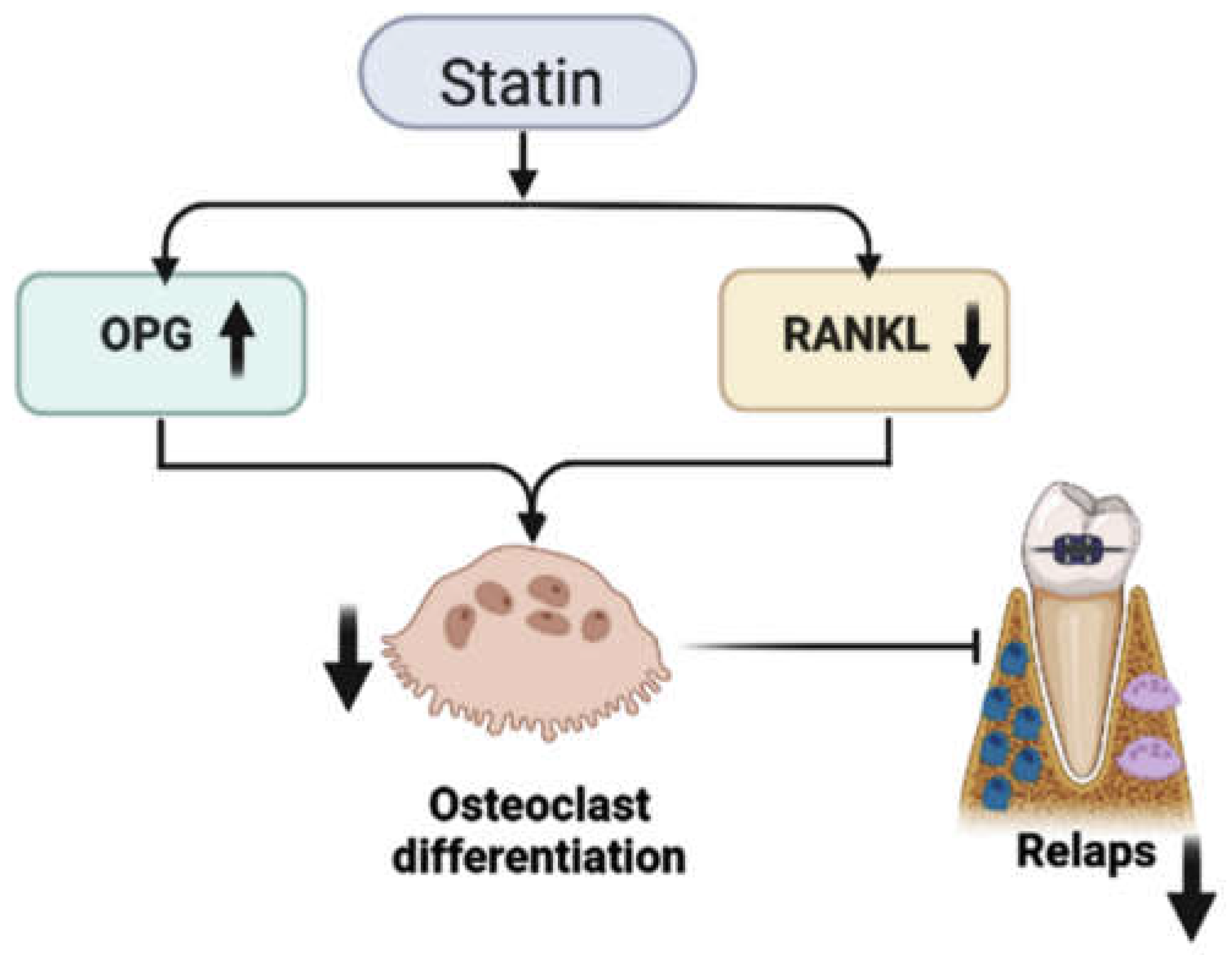 Polymers 15 00103 g003