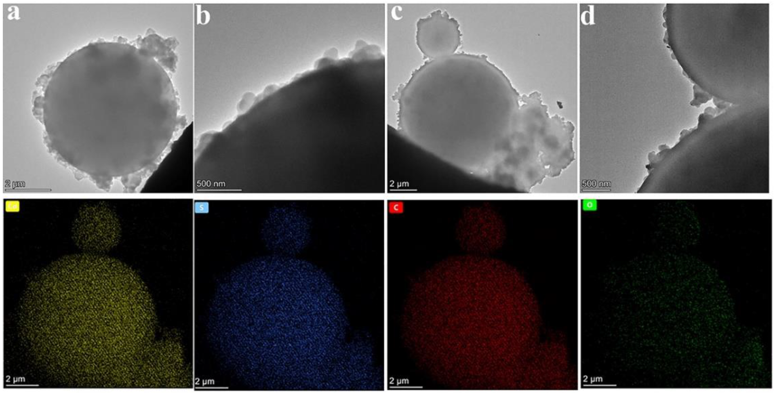 Polymers 15 00106 g005