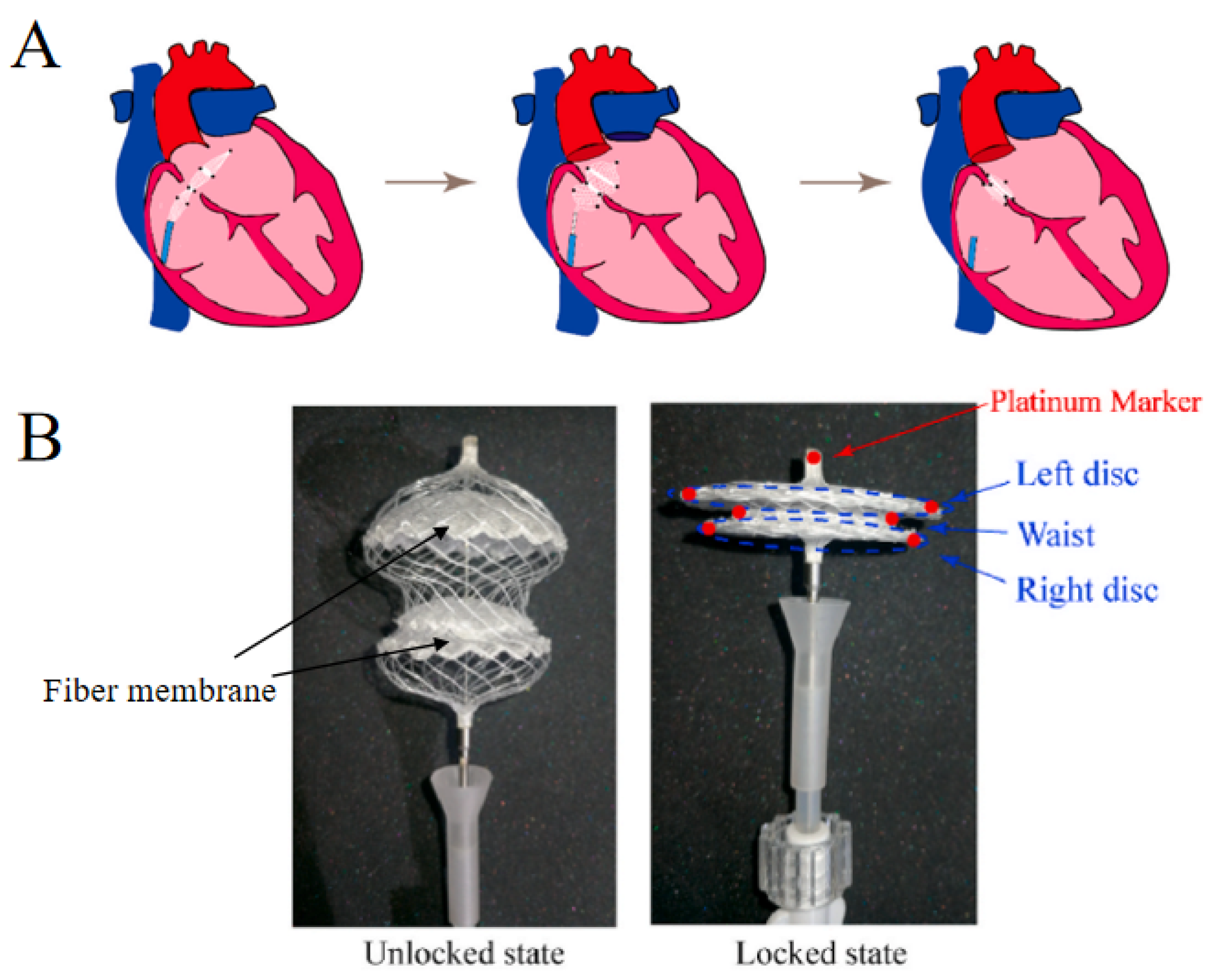 Polymers 15 00108 g001