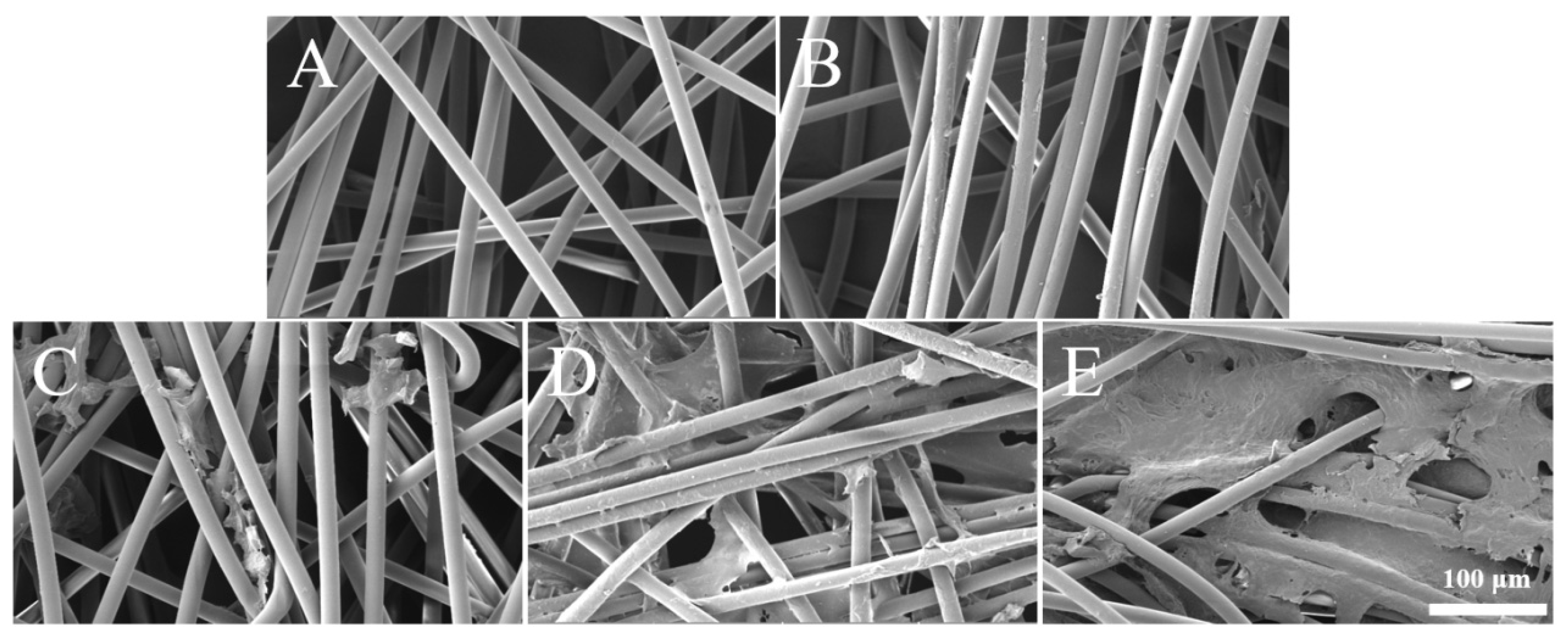 Polymers 15 00108 g003