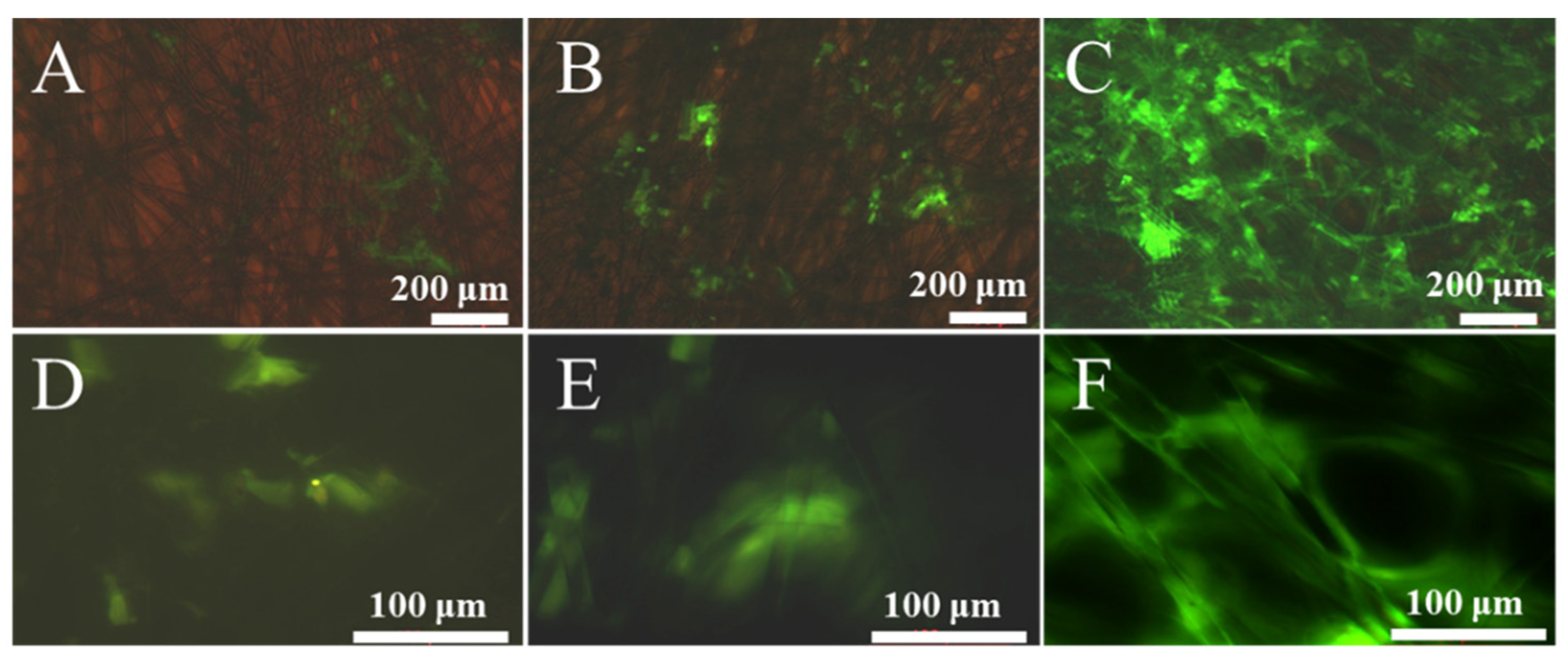 Polymers 15 00108 g006