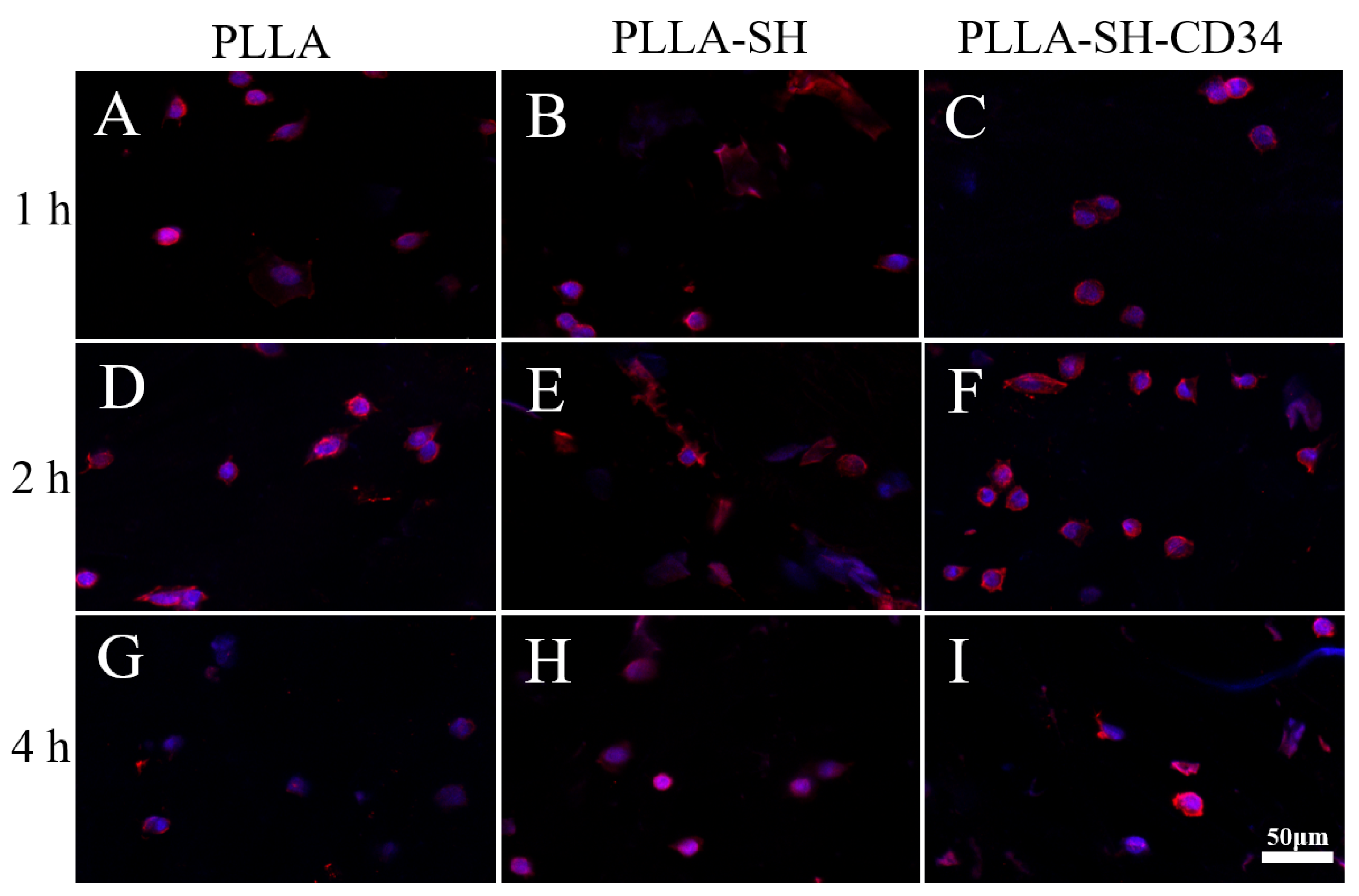 Polymers 15 00108 g010