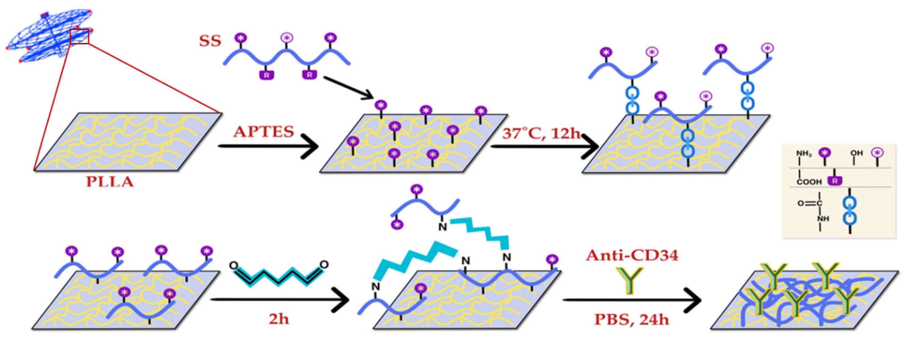 Polymers 15 00108 sch001