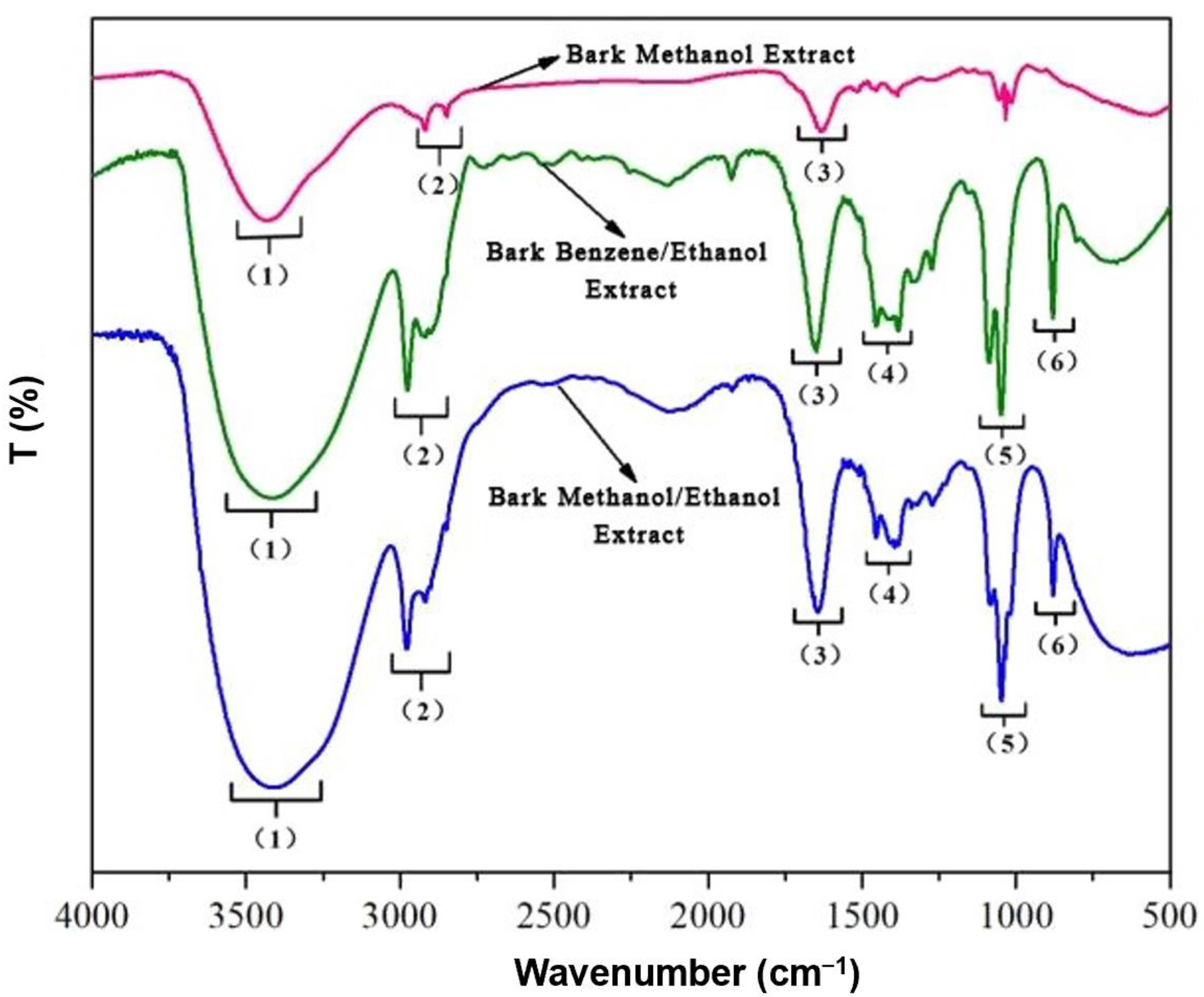 Polymers 15 00114 g005