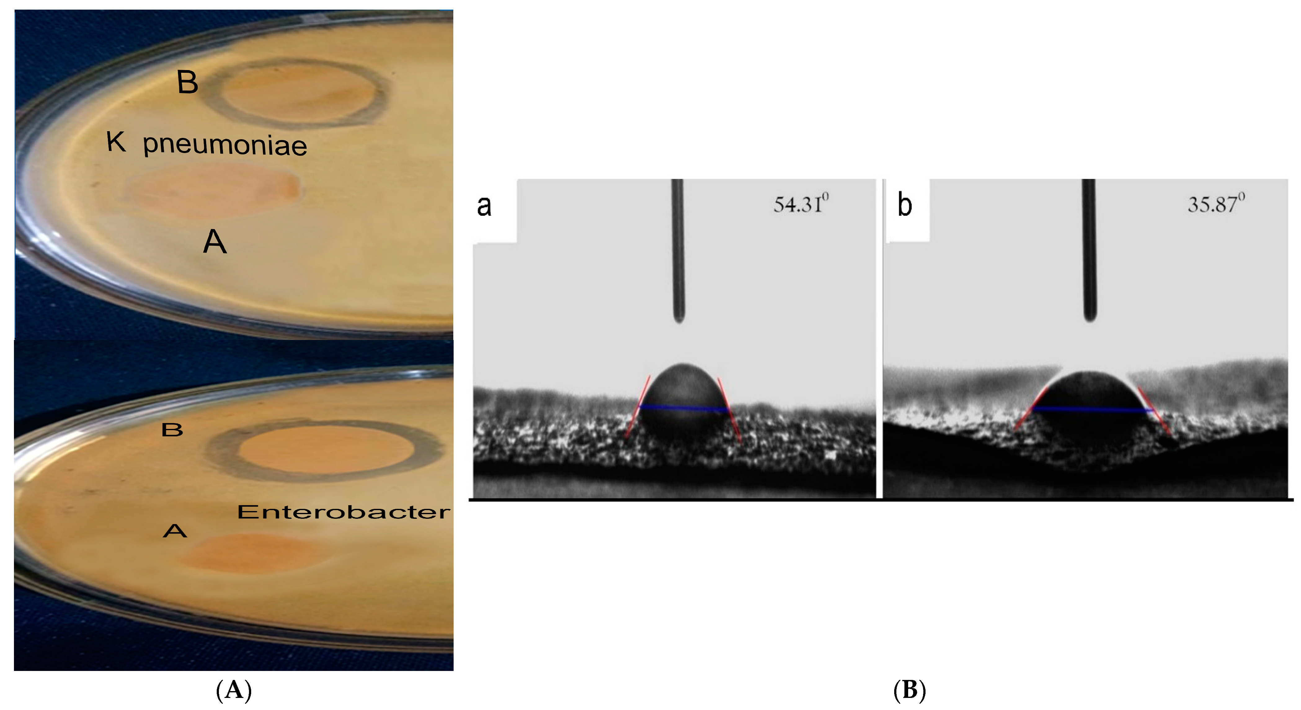 Polymers 15 00115 g003 Polymers 15 00115 g003