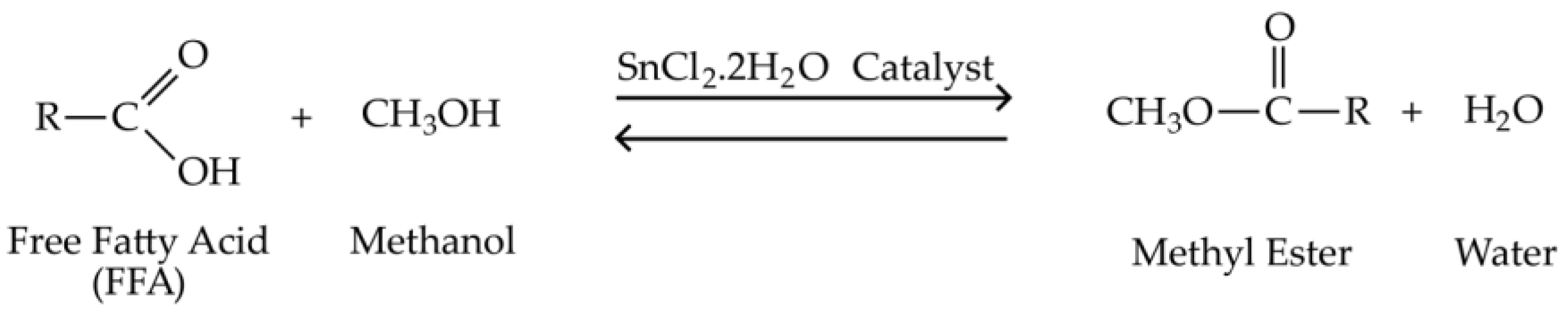 Polymers 15 00123 g001