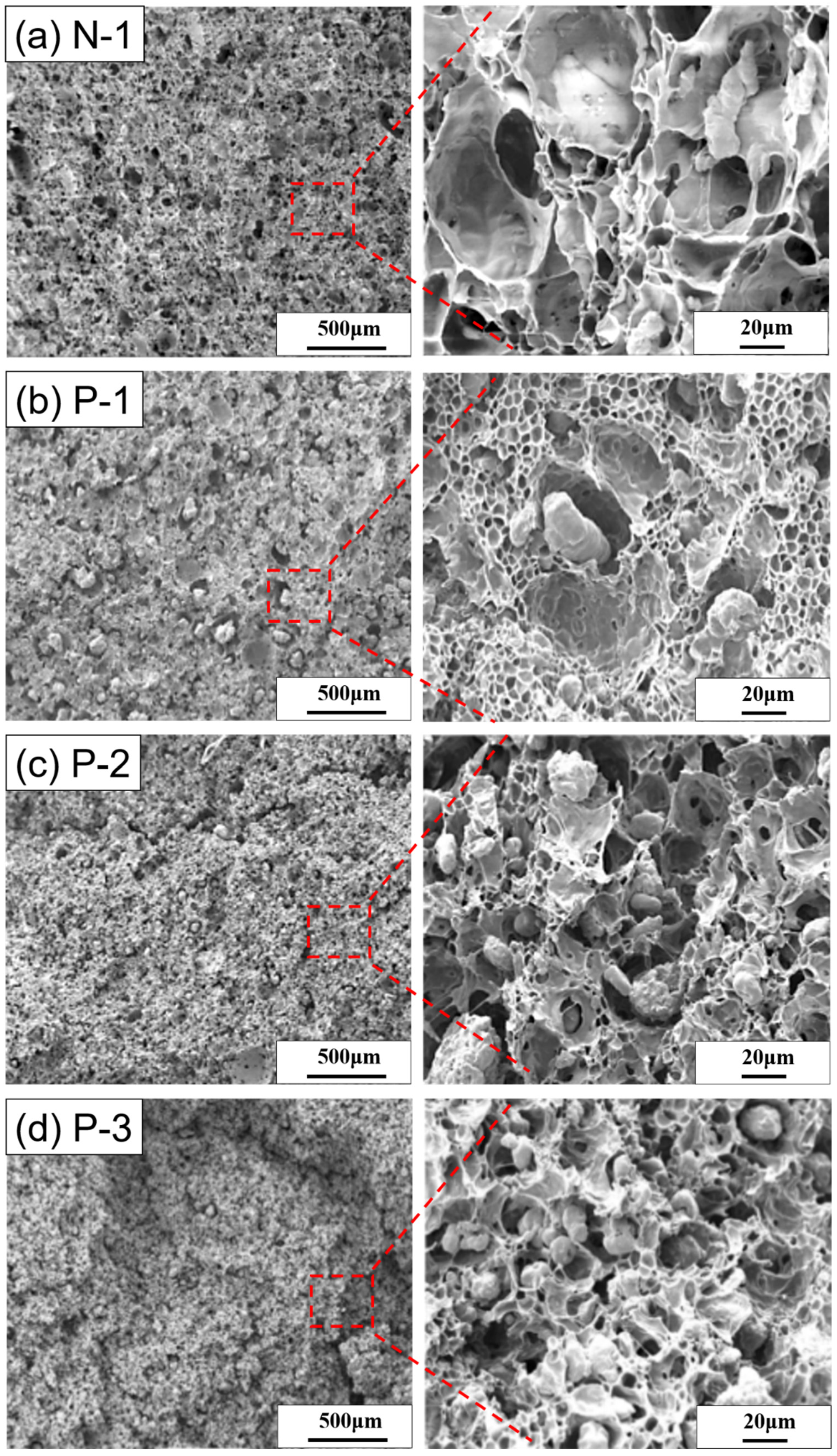 Polymers 15 00129 g003 Polymers 15 00129 g003