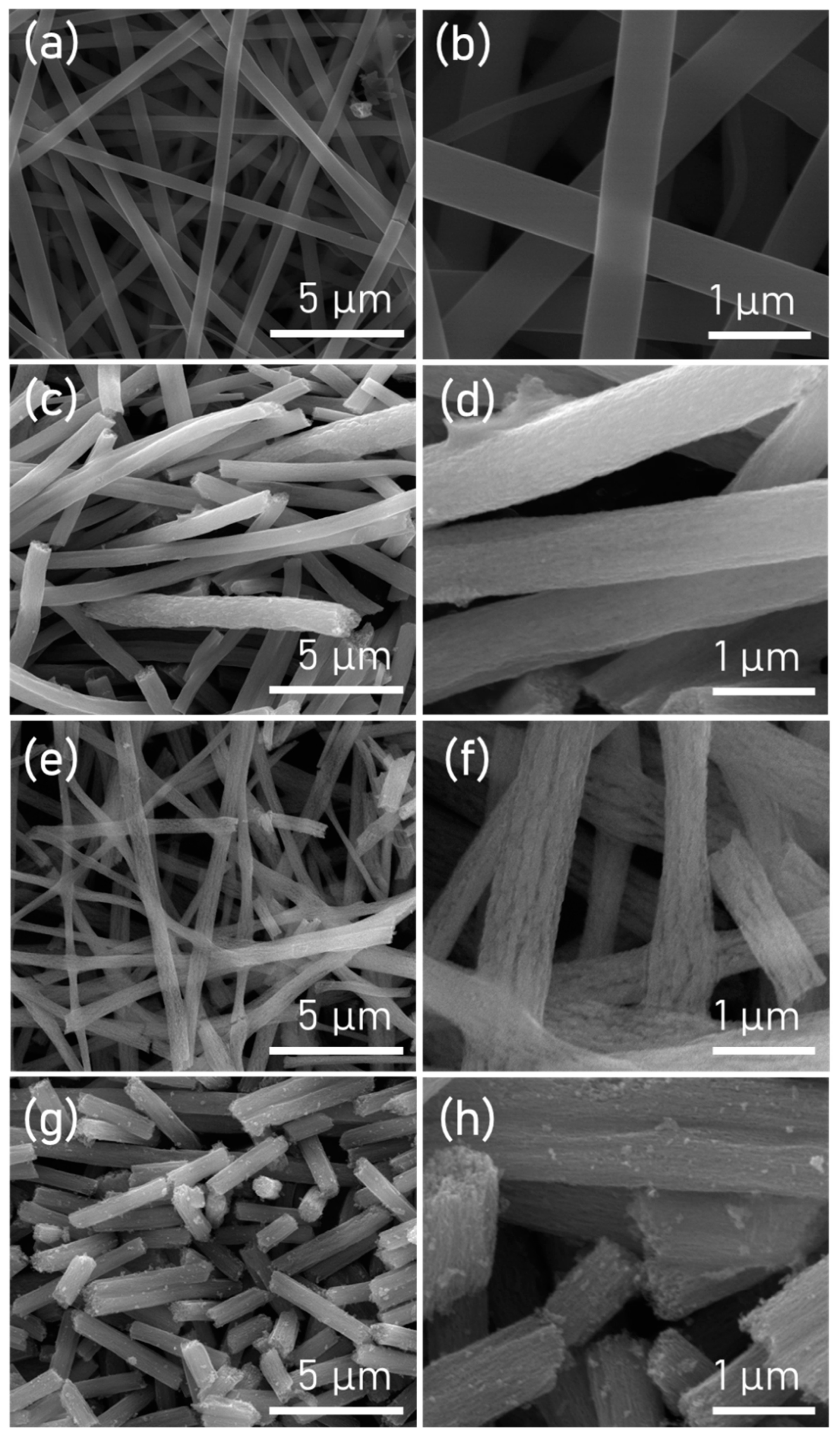 Polymers 15 00134 g003