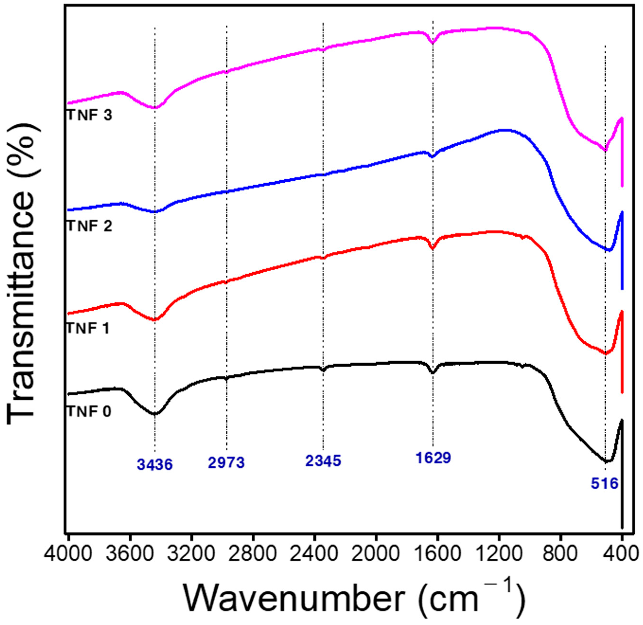 Polymers 15 00134 g005