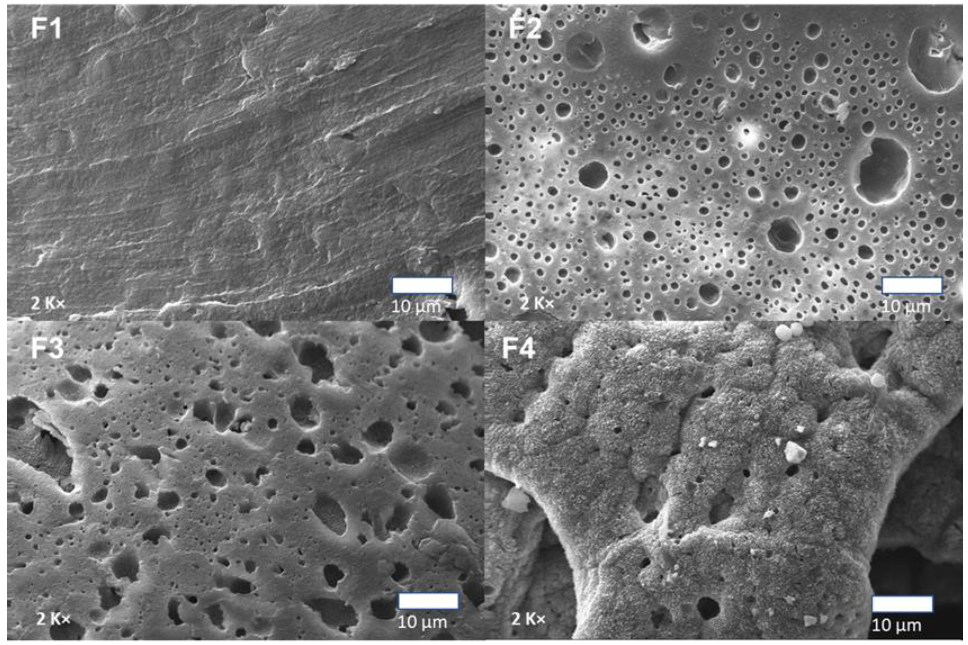 Polymers 15 00135 g006
